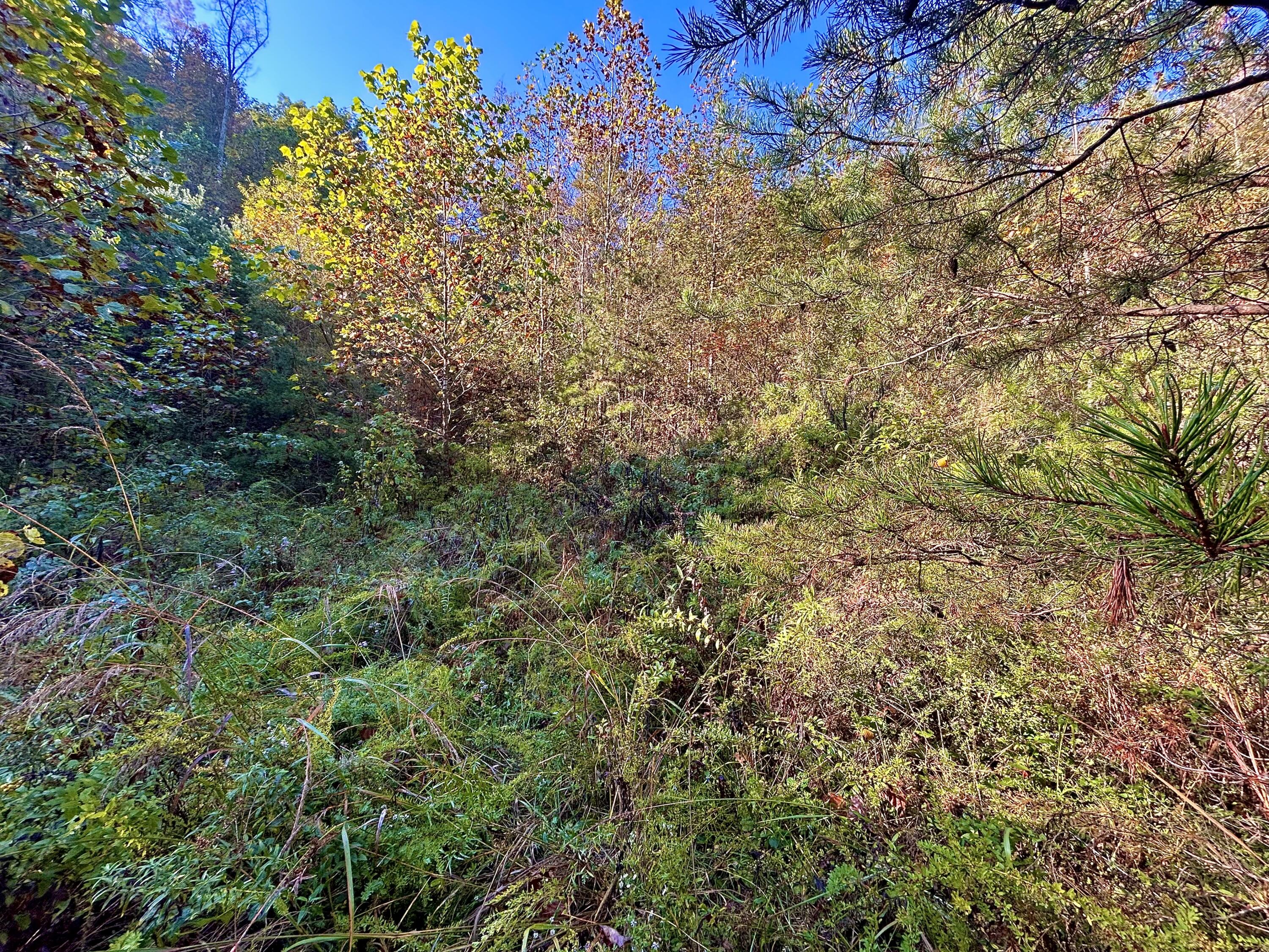 3435 Dry Creek Road Property Photo 11