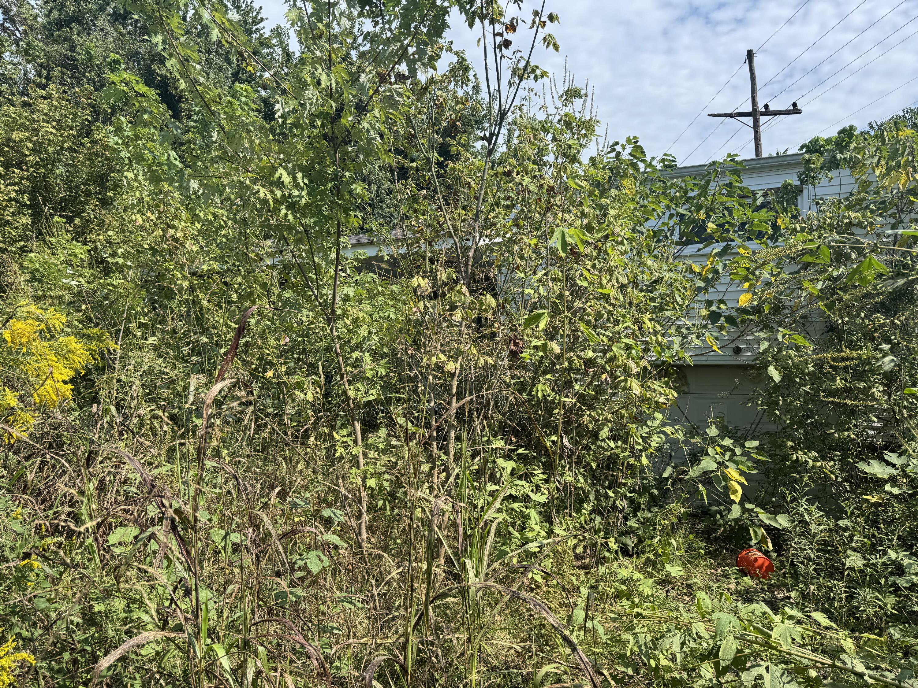714 Bentley Lane Property Photo 14