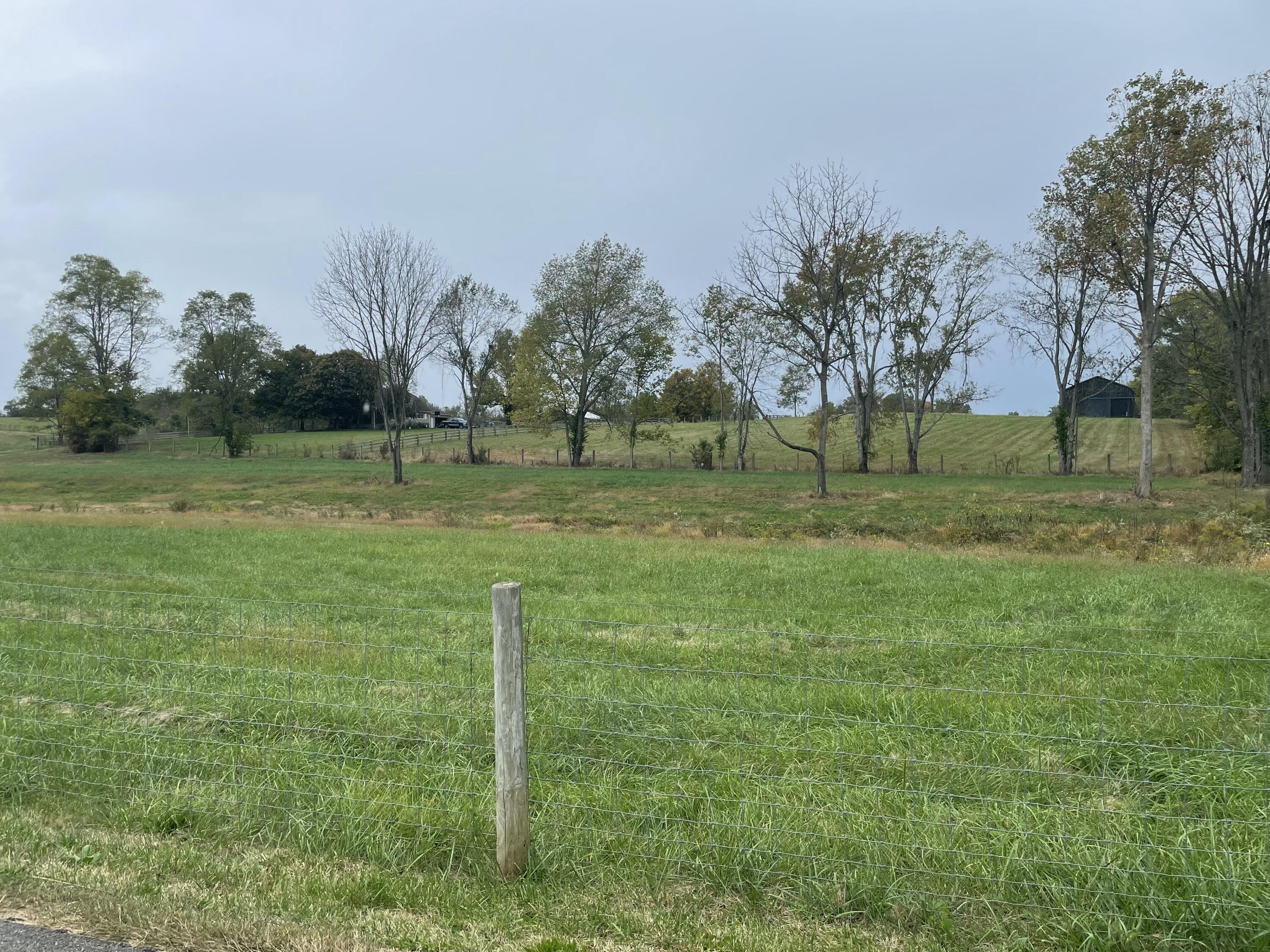 344 Locust Fork Road Property Photo 1