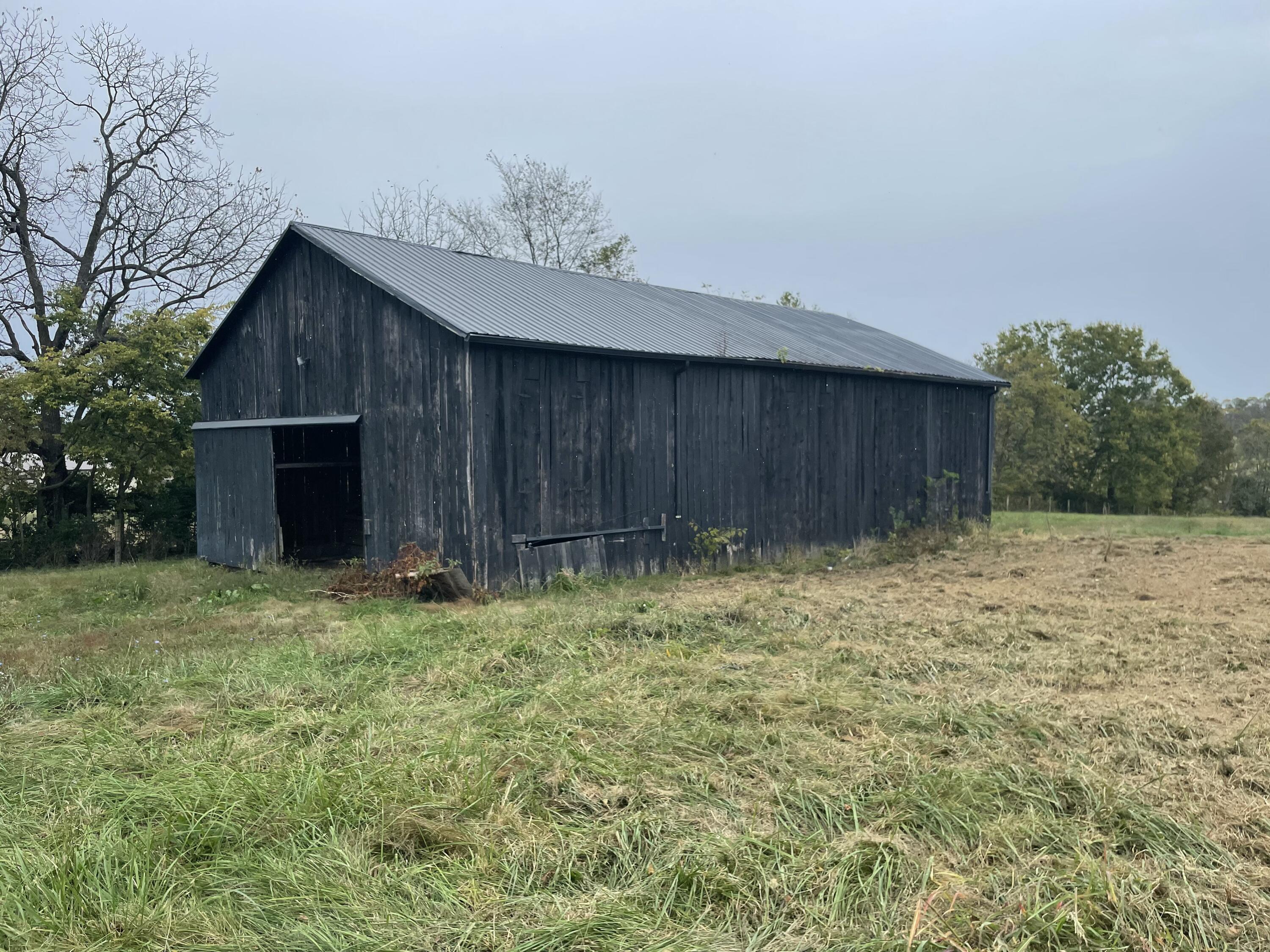 344 Locust Fork Road Property Photo 5