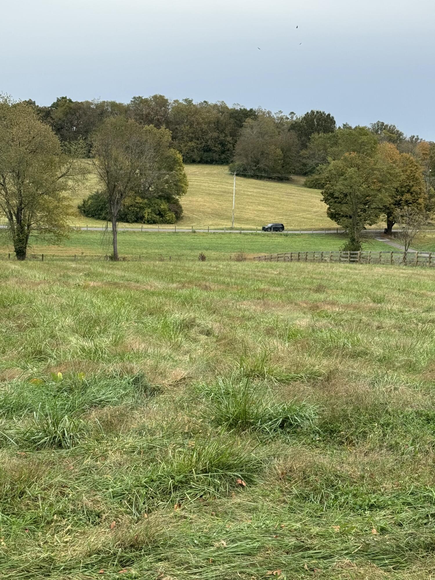 344 Locust Fork Road Property Photo 6