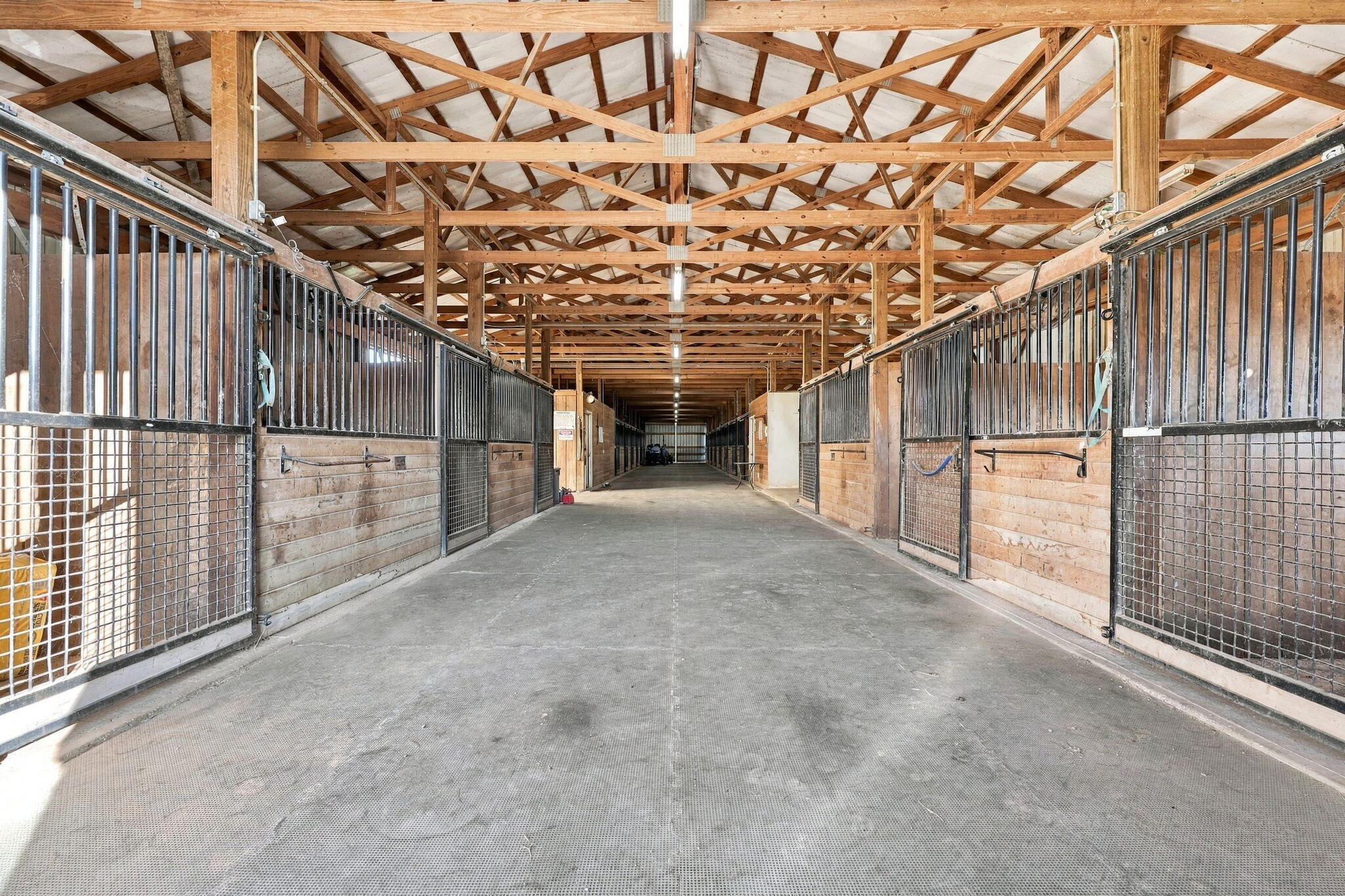 3200 Fishers Mill Road Property Photo 100