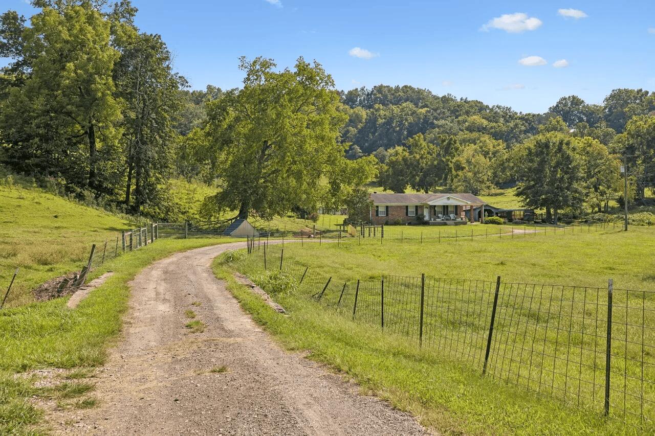 4456 Jackson Hollow Road Property Photo 12