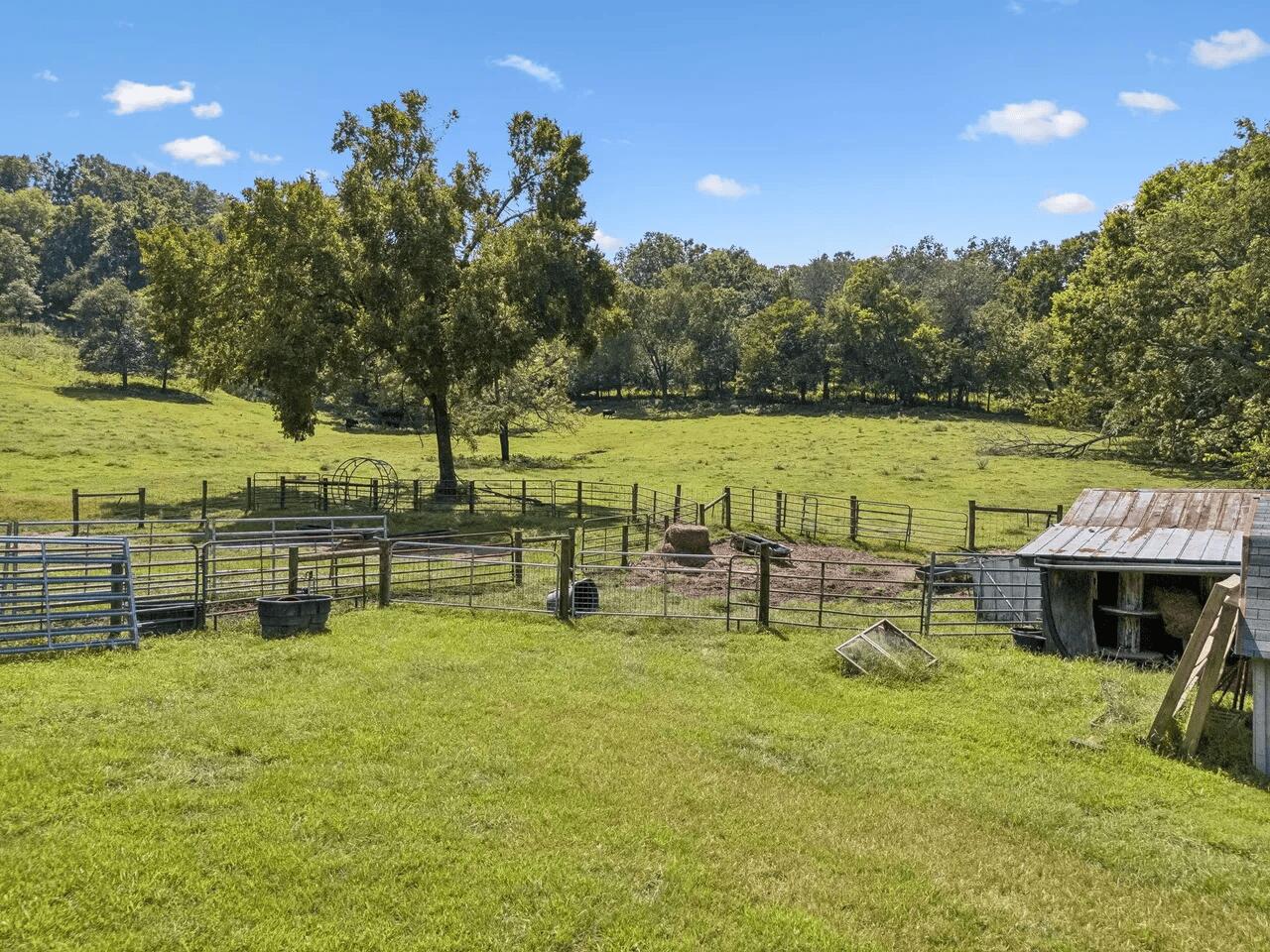 4456 Jackson Hollow Road Property Photo 27