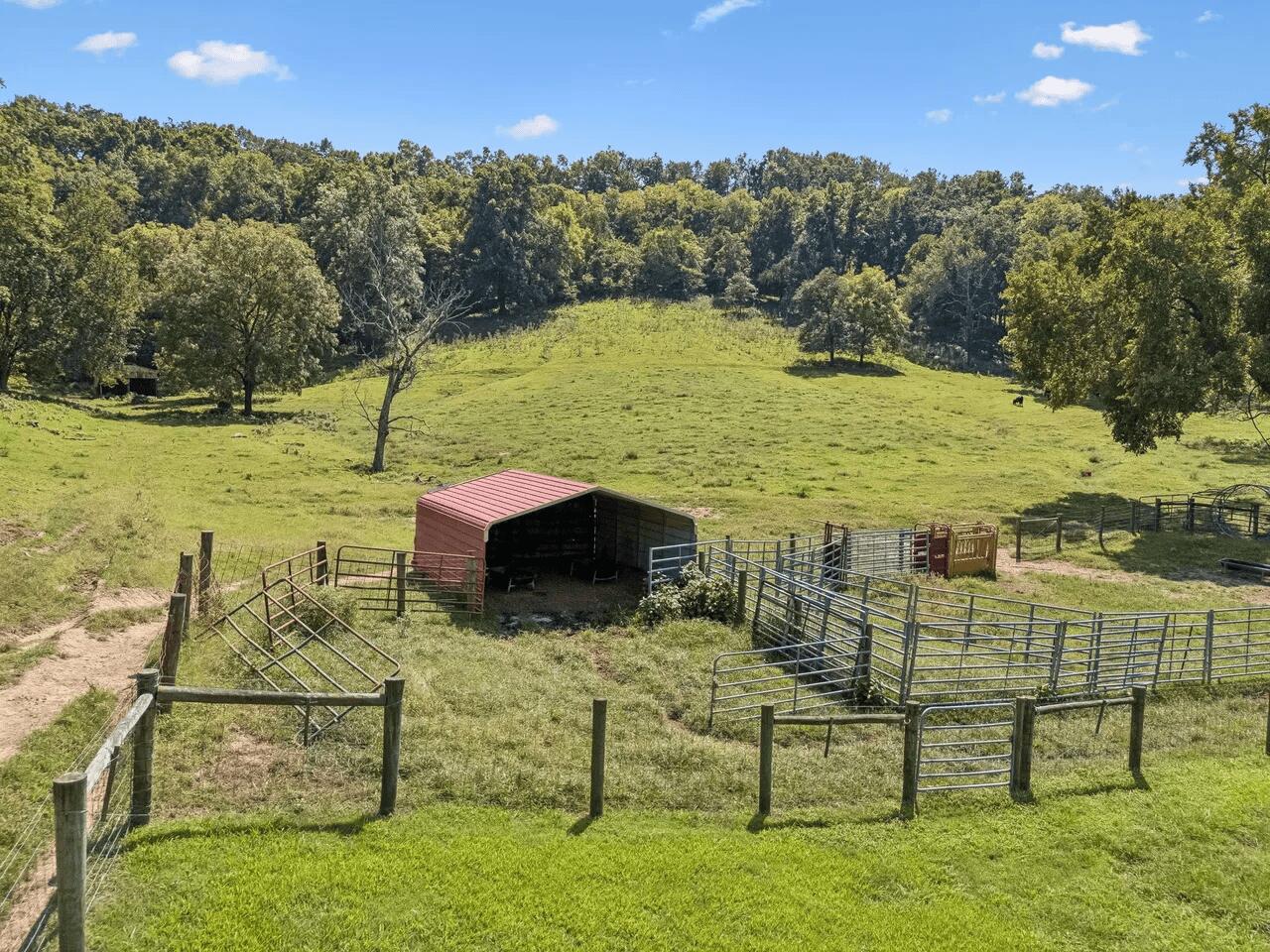 4456 Jackson Hollow Road Property Photo 34