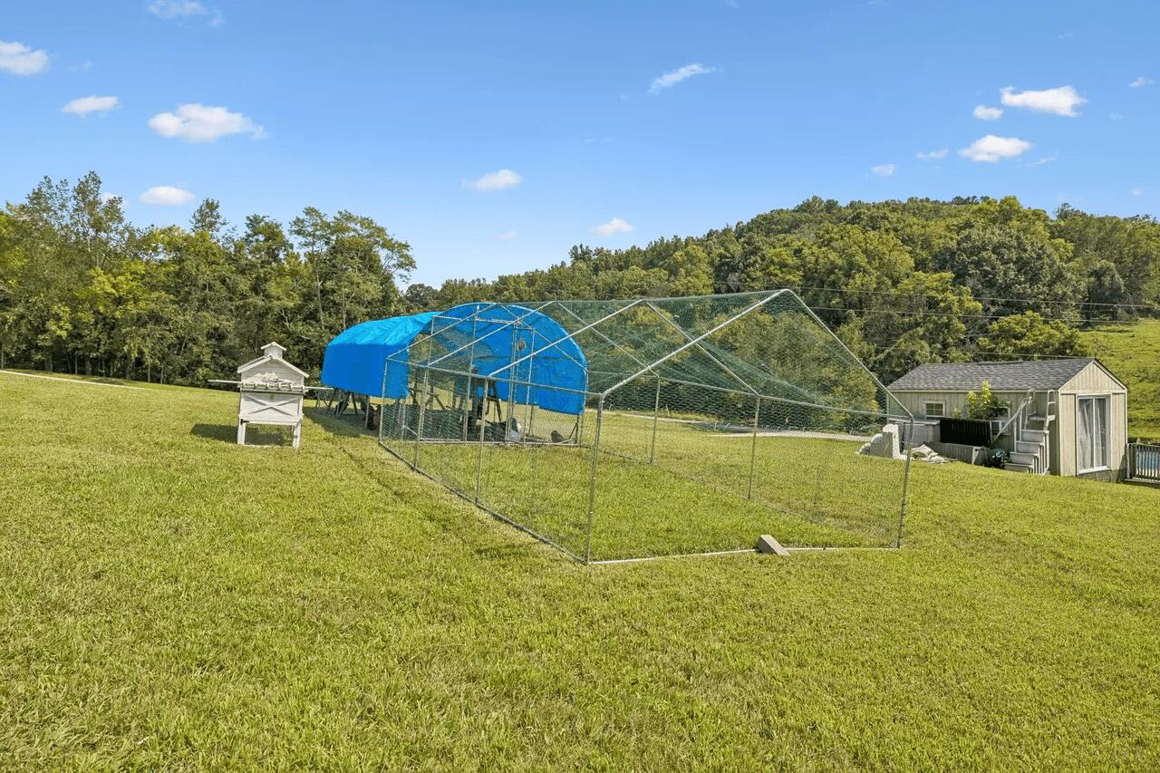 4462 Jackson Hollow Road Property Photo 28