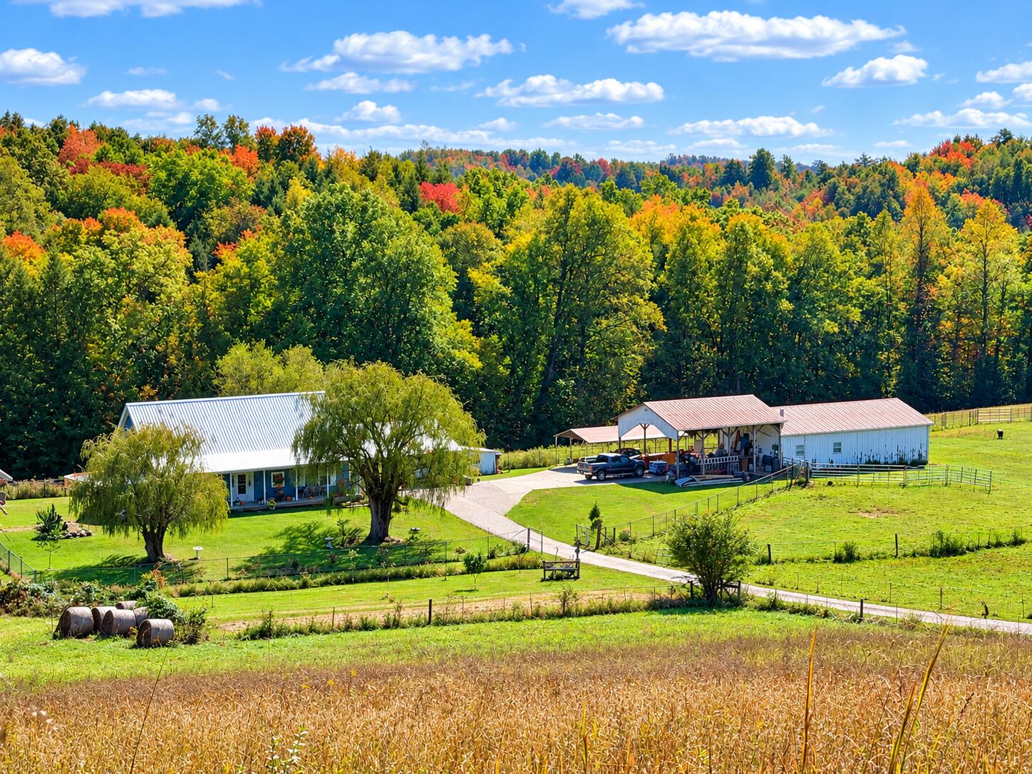 11039 Brown Ridge Road Property Photo 16