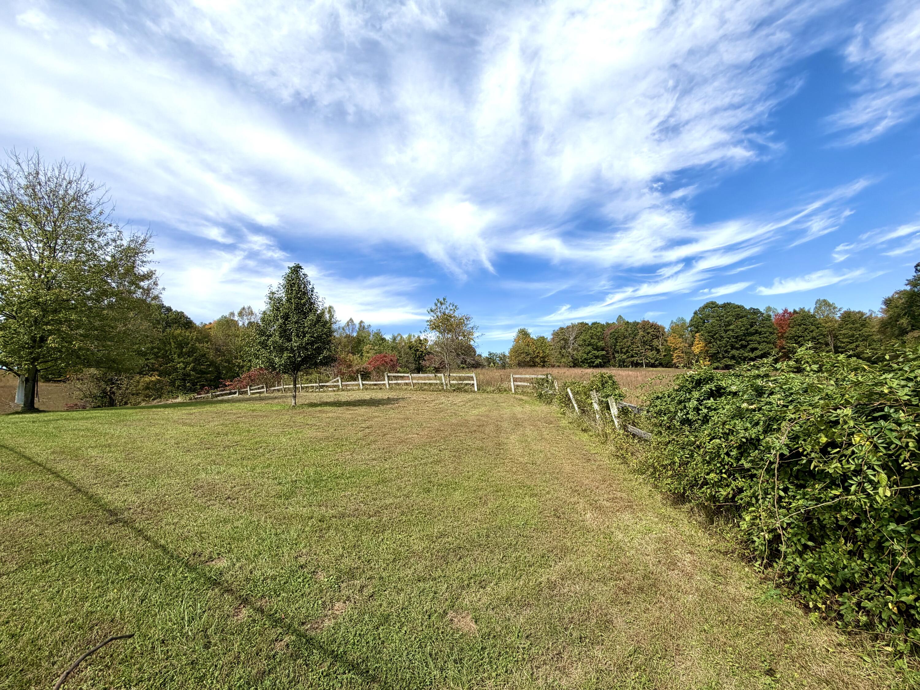 11039 Brown Ridge Road Property Photo 19