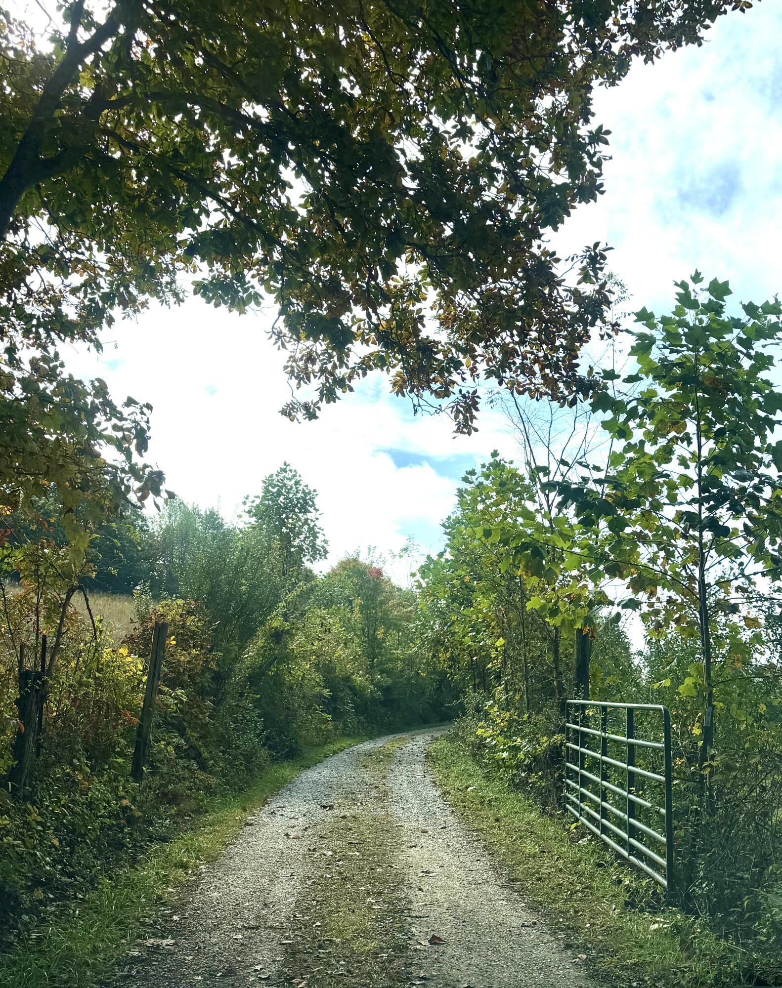 11039 Brown Ridge Road Property Photo 54