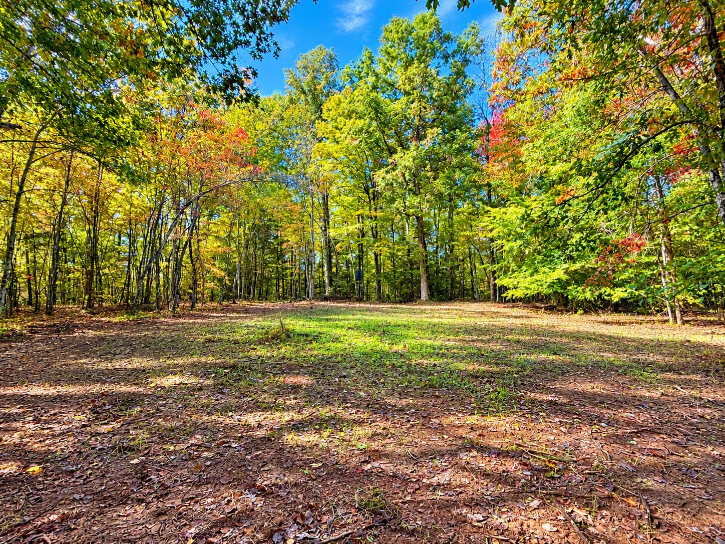 11039 Brown Ridge Road Property Photo 55