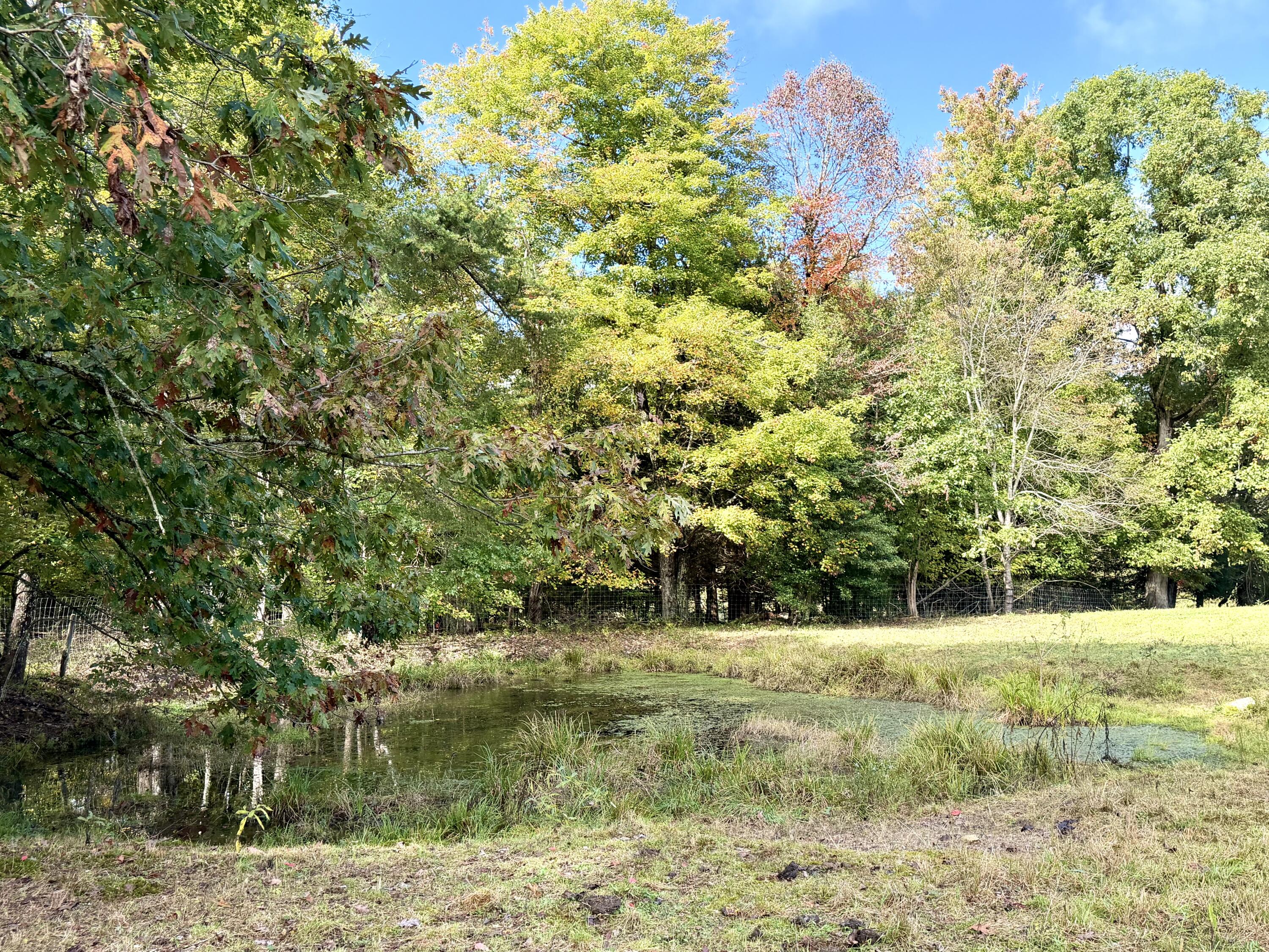 11039 Brown Ridge Road Property Photo 57