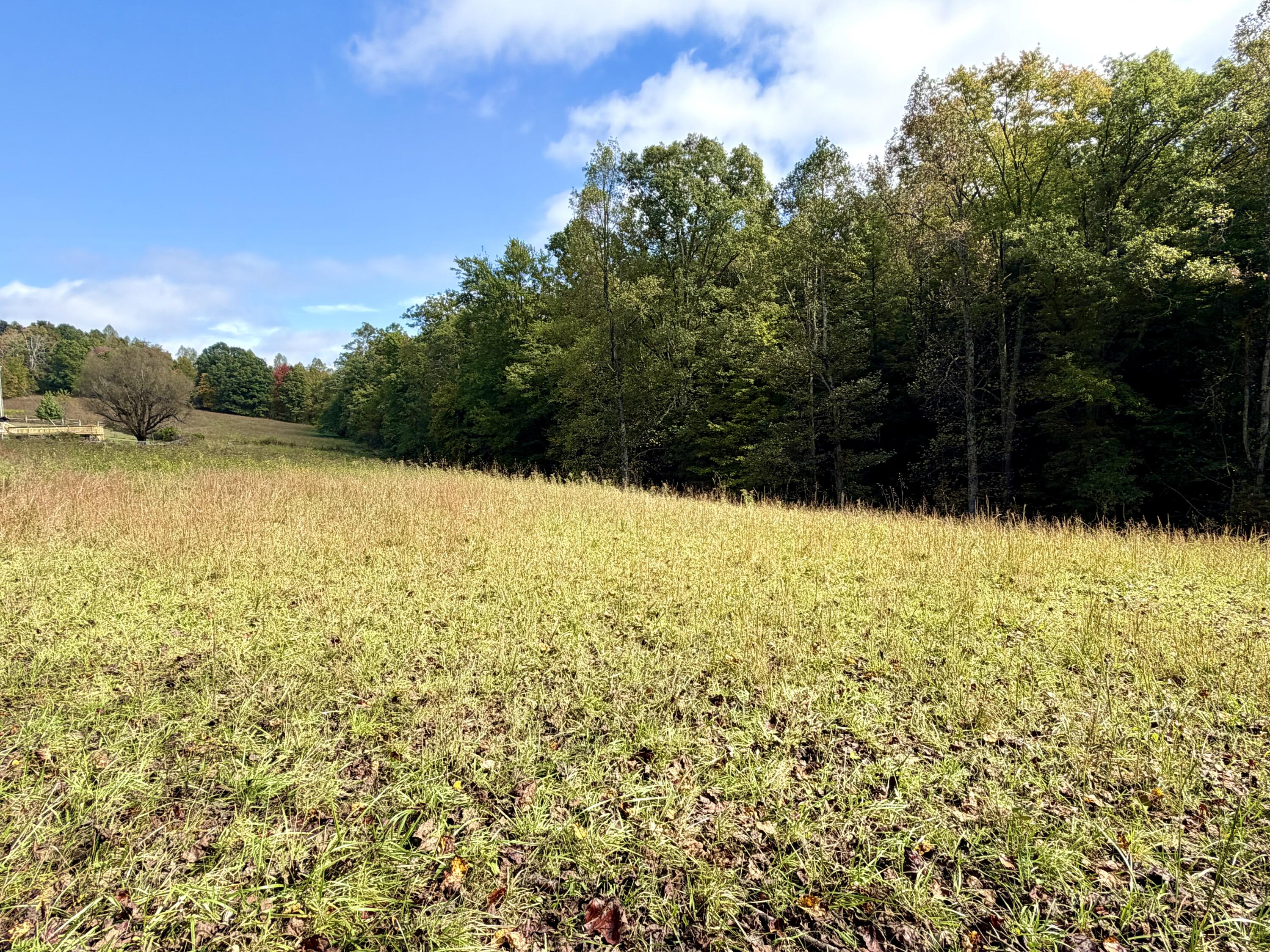 11039 Brown Ridge Road Property Photo 60