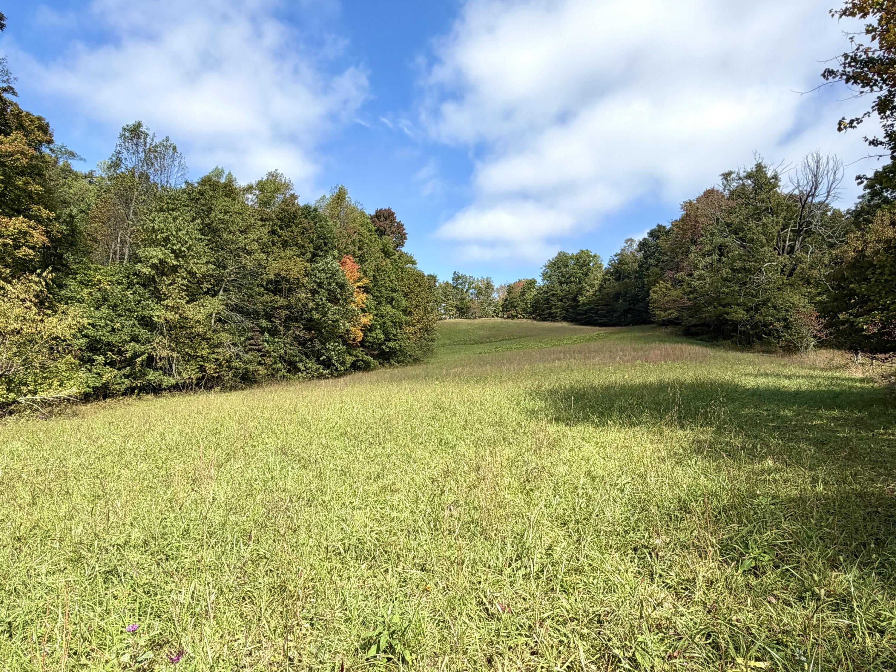 11039 Brown Ridge Road Property Photo 64