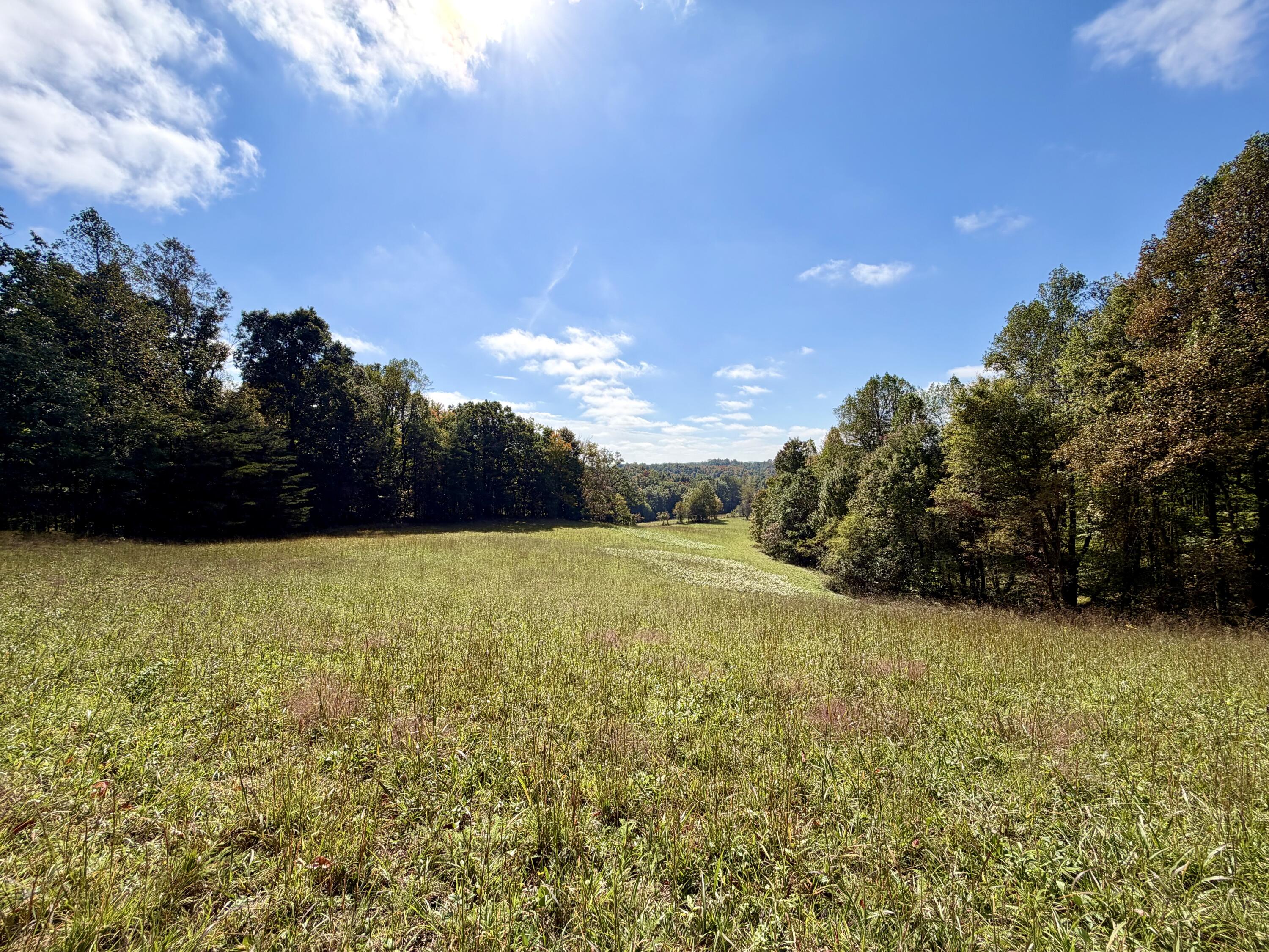 11039 Brown Ridge Road Property Photo 65