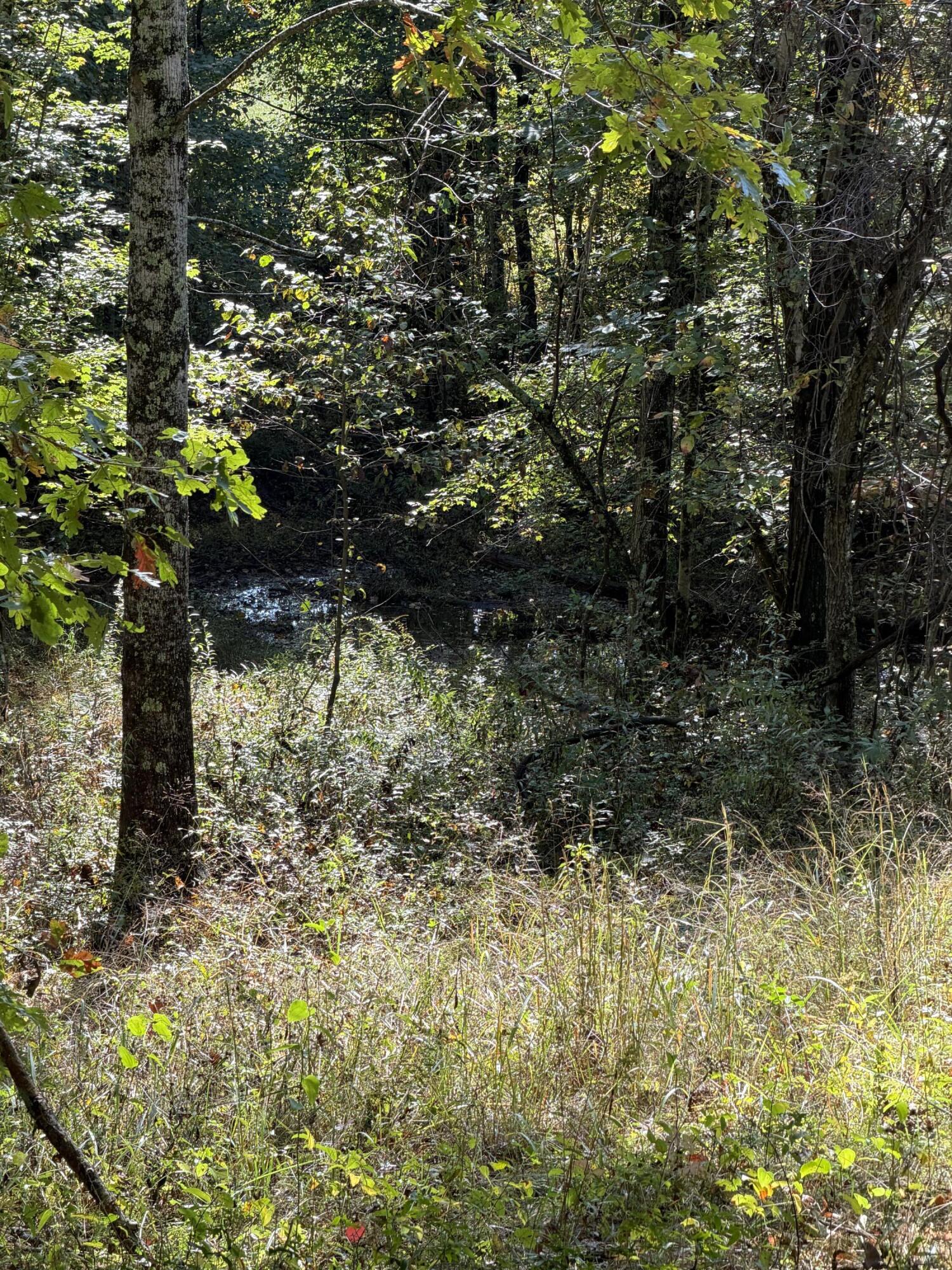 11039 Brown Ridge Road Property Photo 68