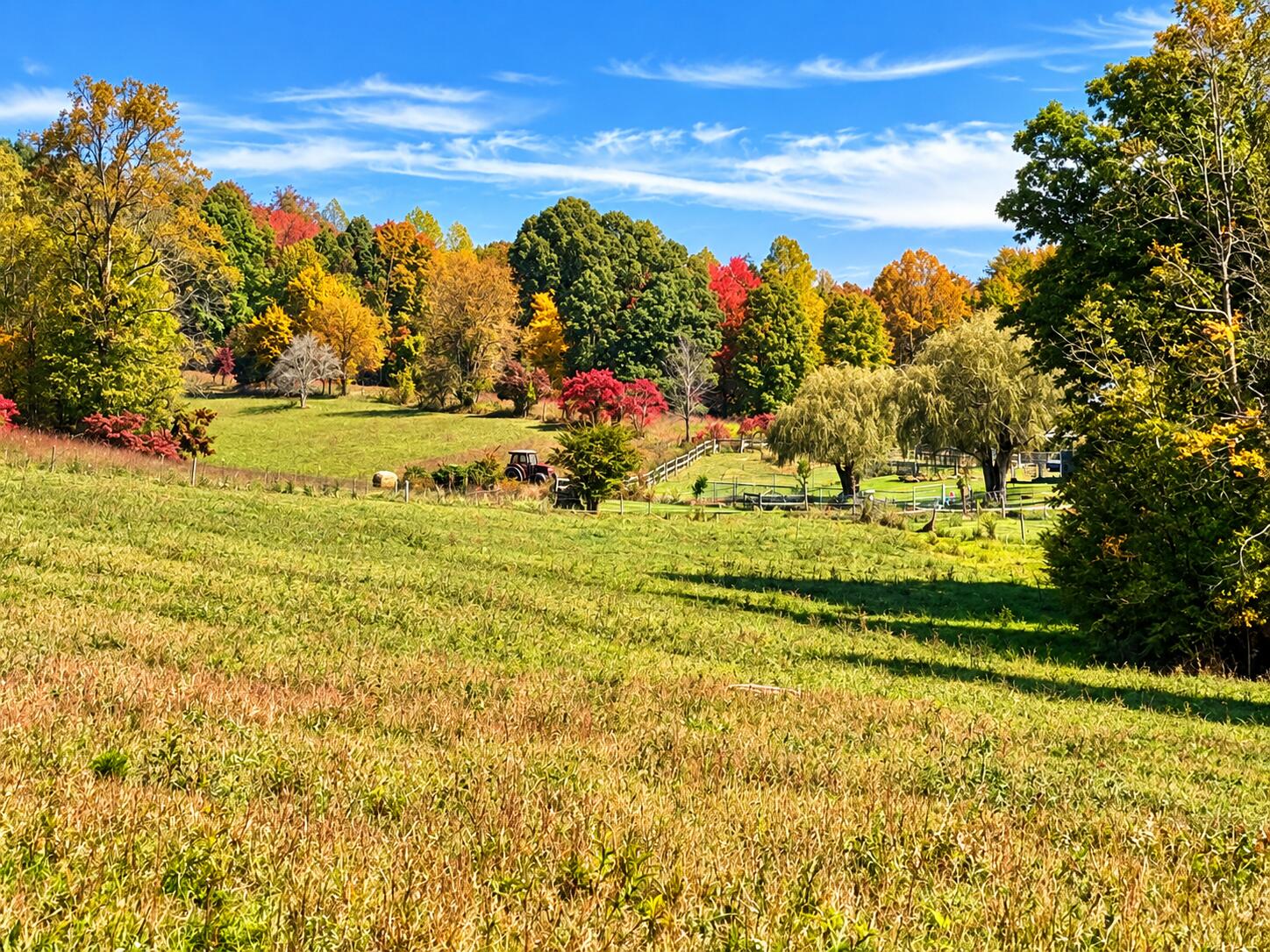 11039 Brown Ridge Road Property Photo 73