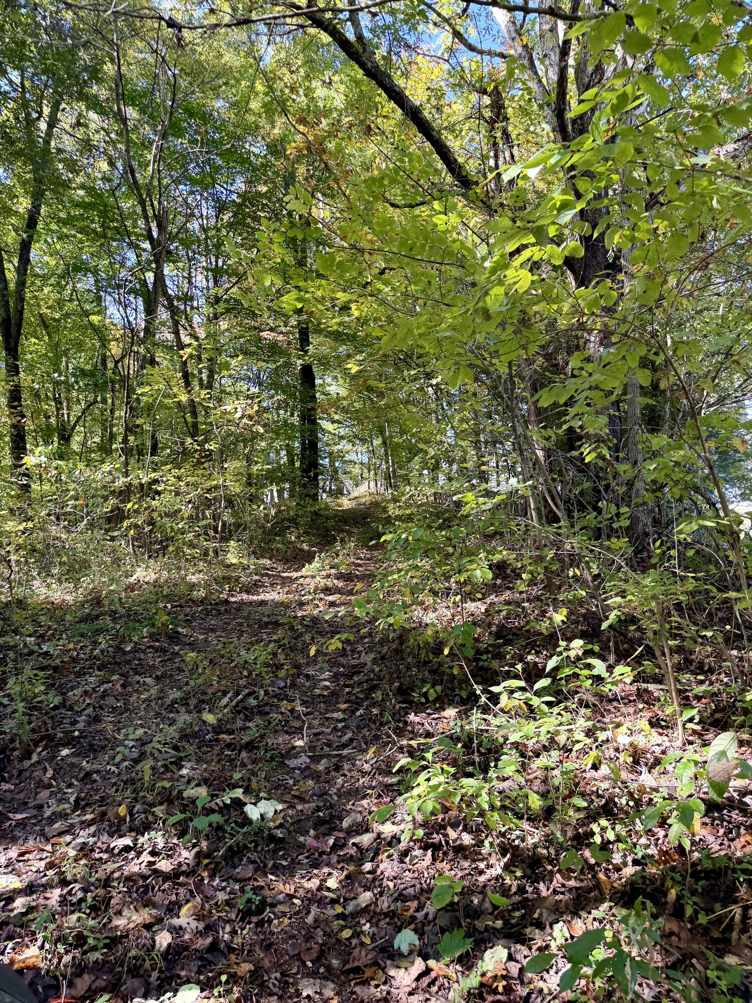 11039 Brown Ridge Road Property Photo 75