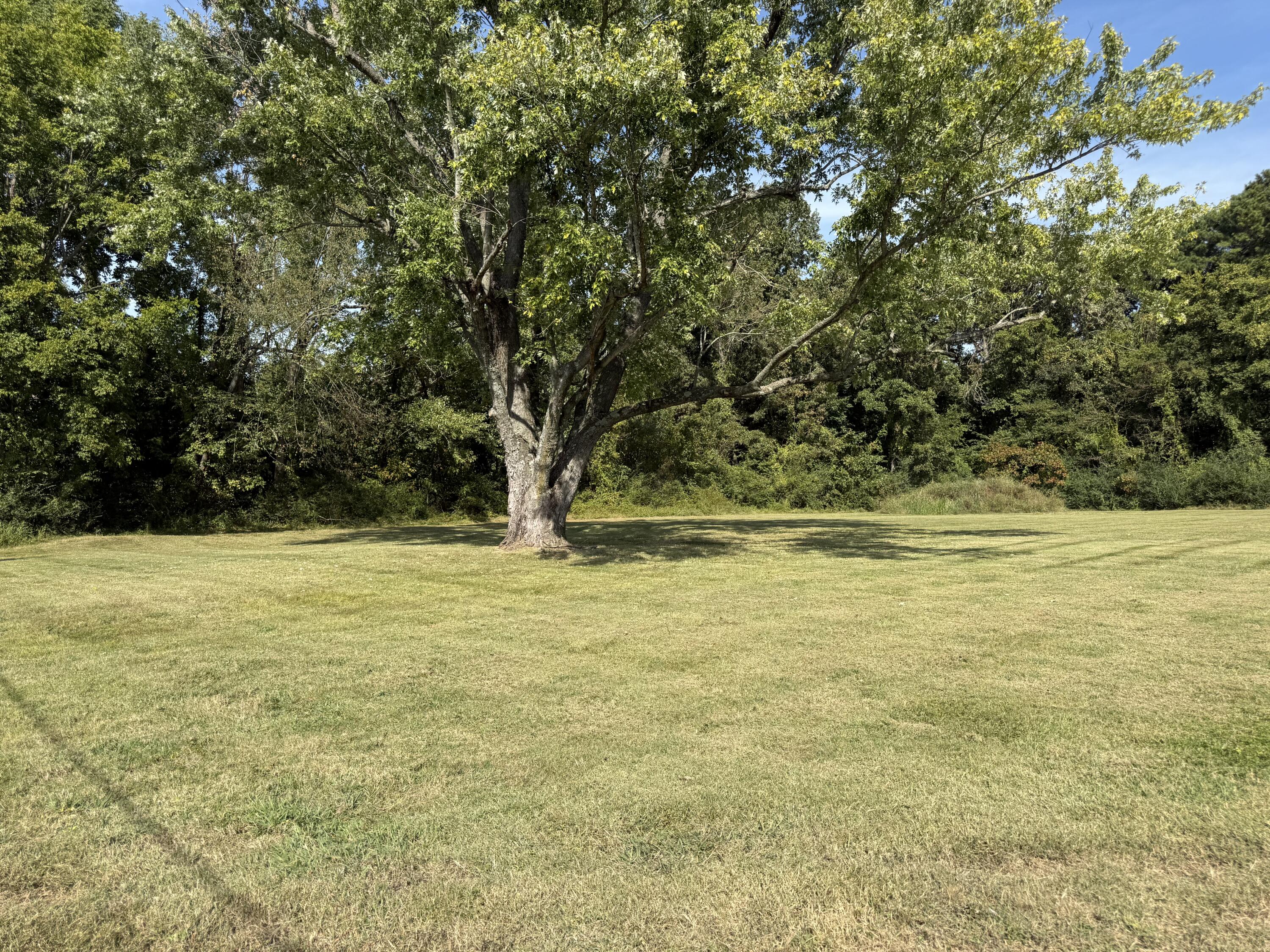 6710 Benton Road Property Photo 7