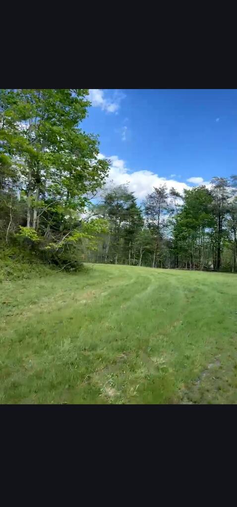 1173 Campground Rd. Pat Oker Branch Property Photo 11