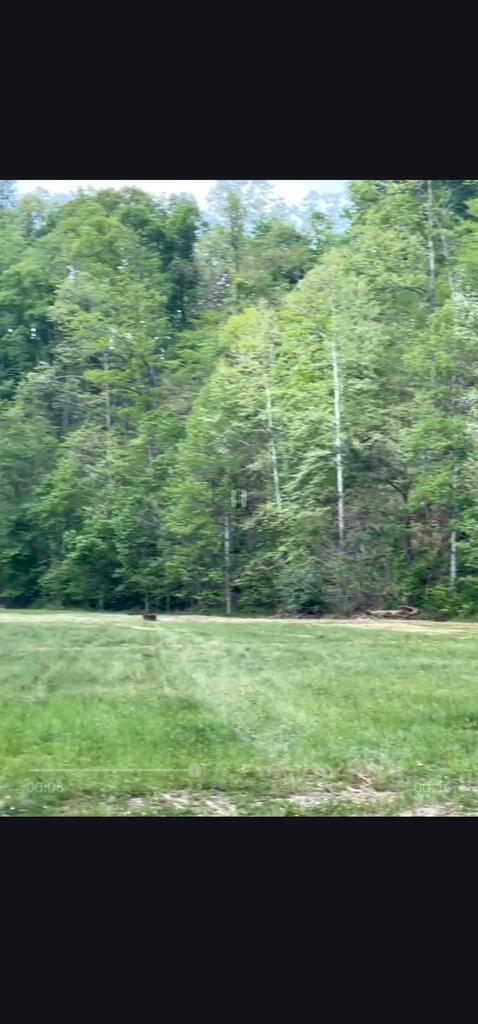 1173 Campground Rd. Pat Oker Branch Property Photo 12