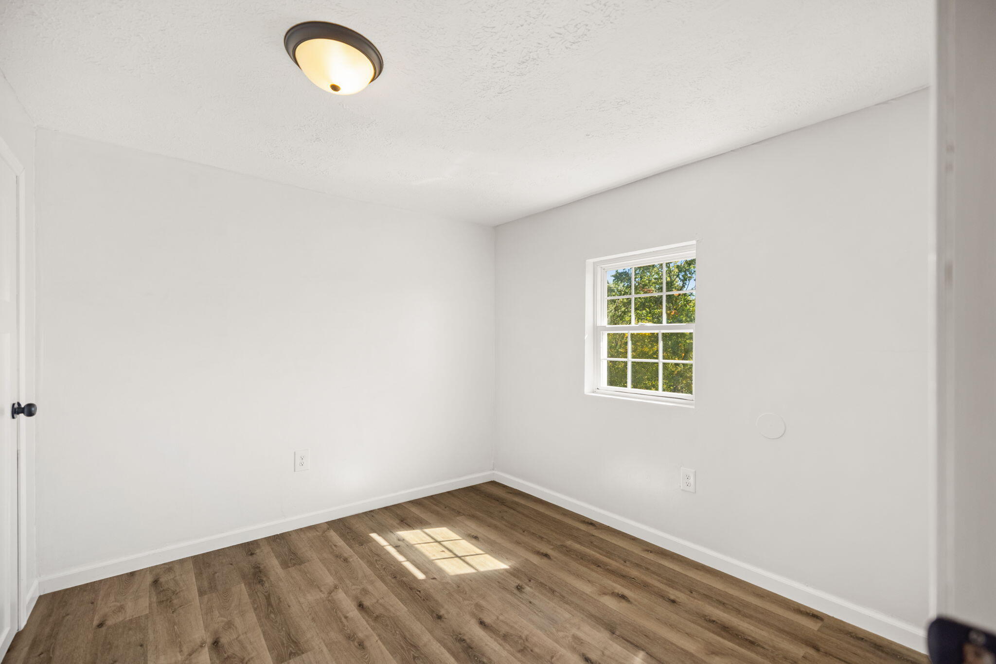 1065 Blueberry Ridge Property Photo 33