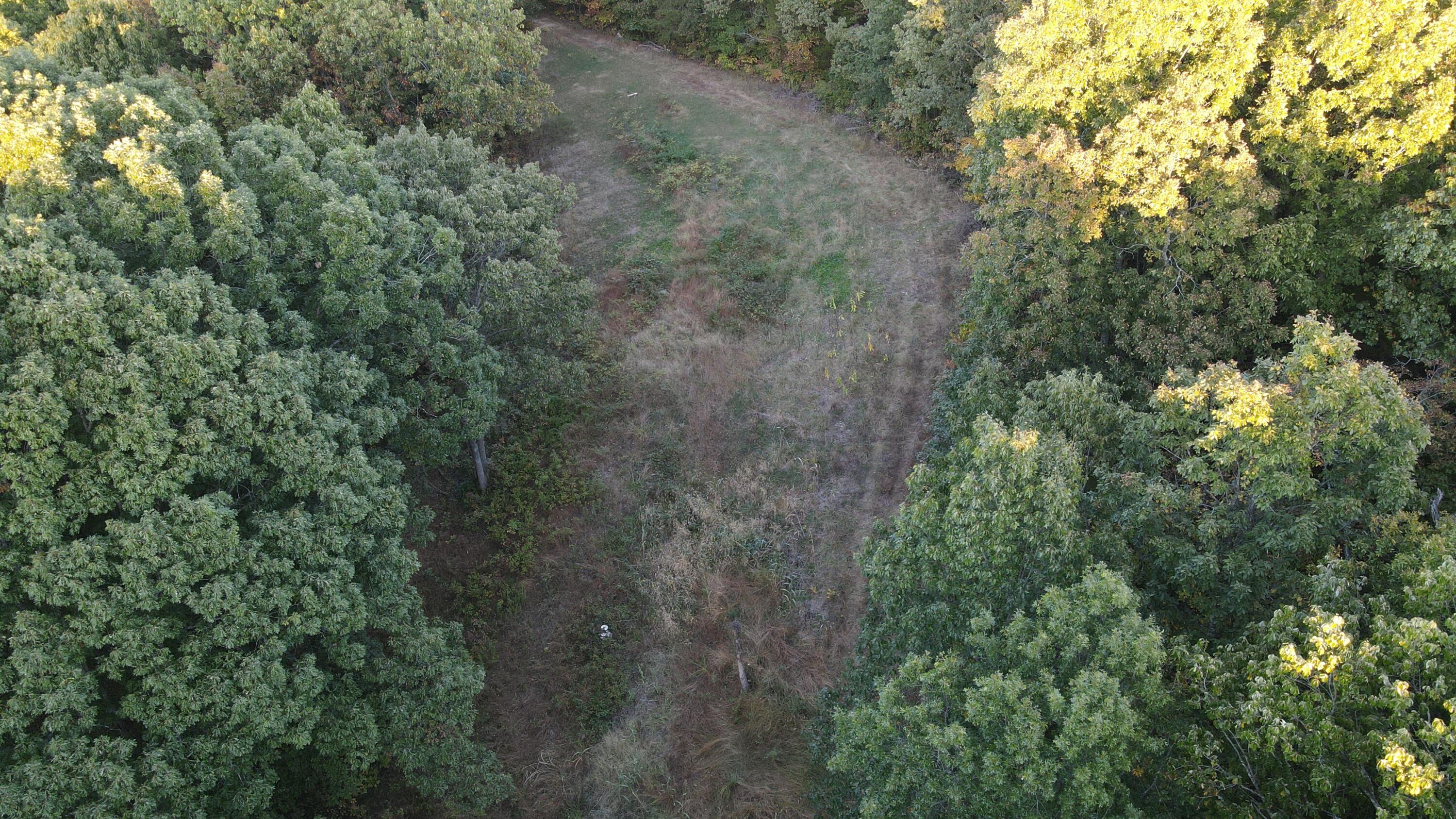 000 Harmony Road Property Photo 21