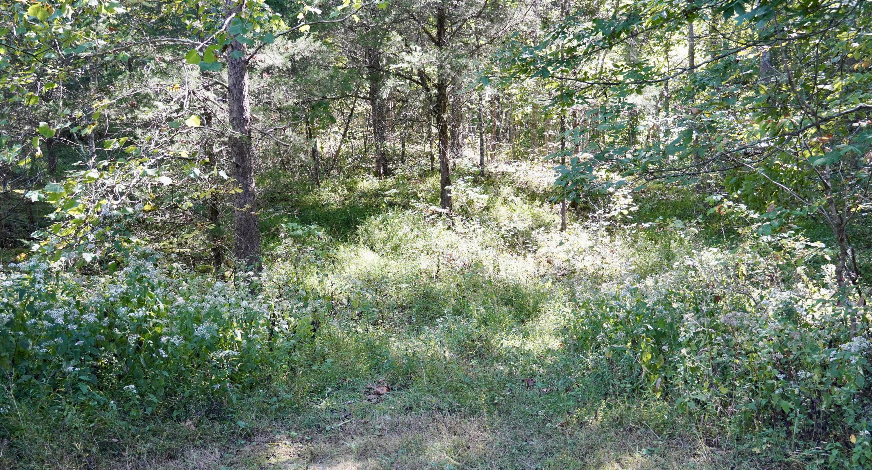 000 Harmony Road Property Photo 22