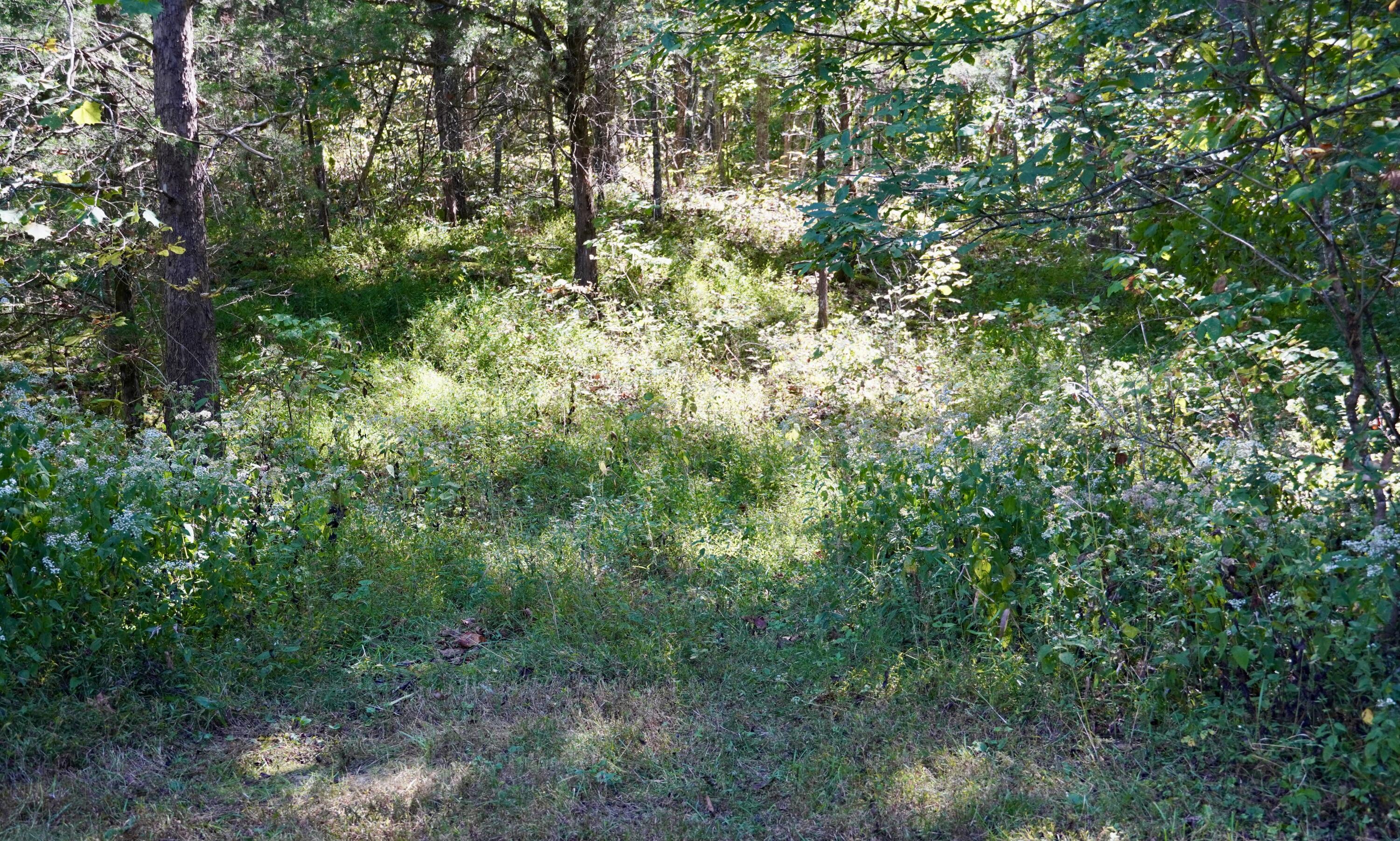 000 Harmony Road Property Photo 23