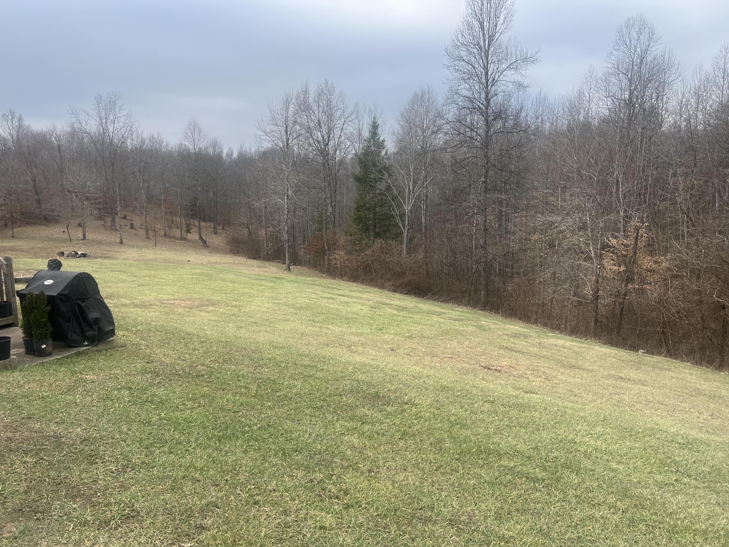 123 Quisenberry Road Property Photo 3