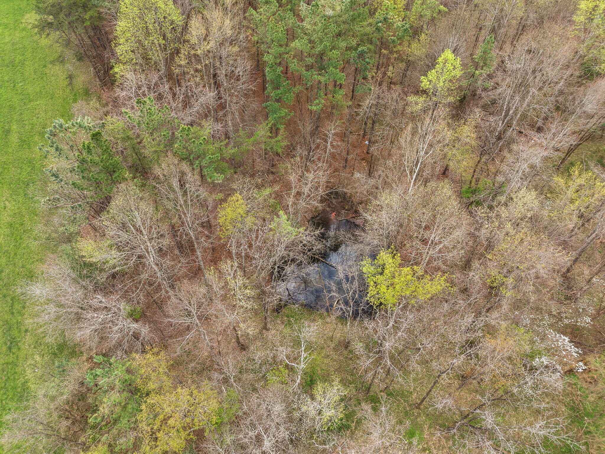 259 Old Salem Road Property Photo 20