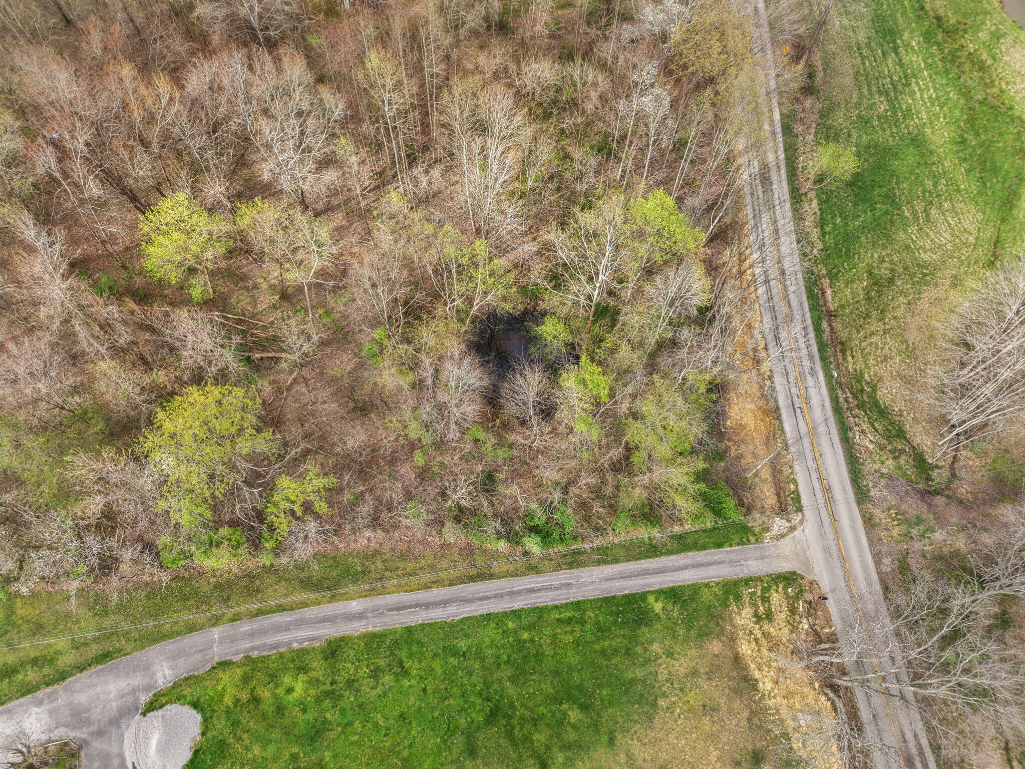 259 Old Salem Road Property Photo 21
