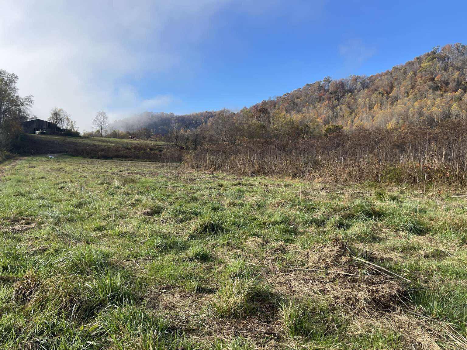1245 Banks Branch Road Property Photo 2
