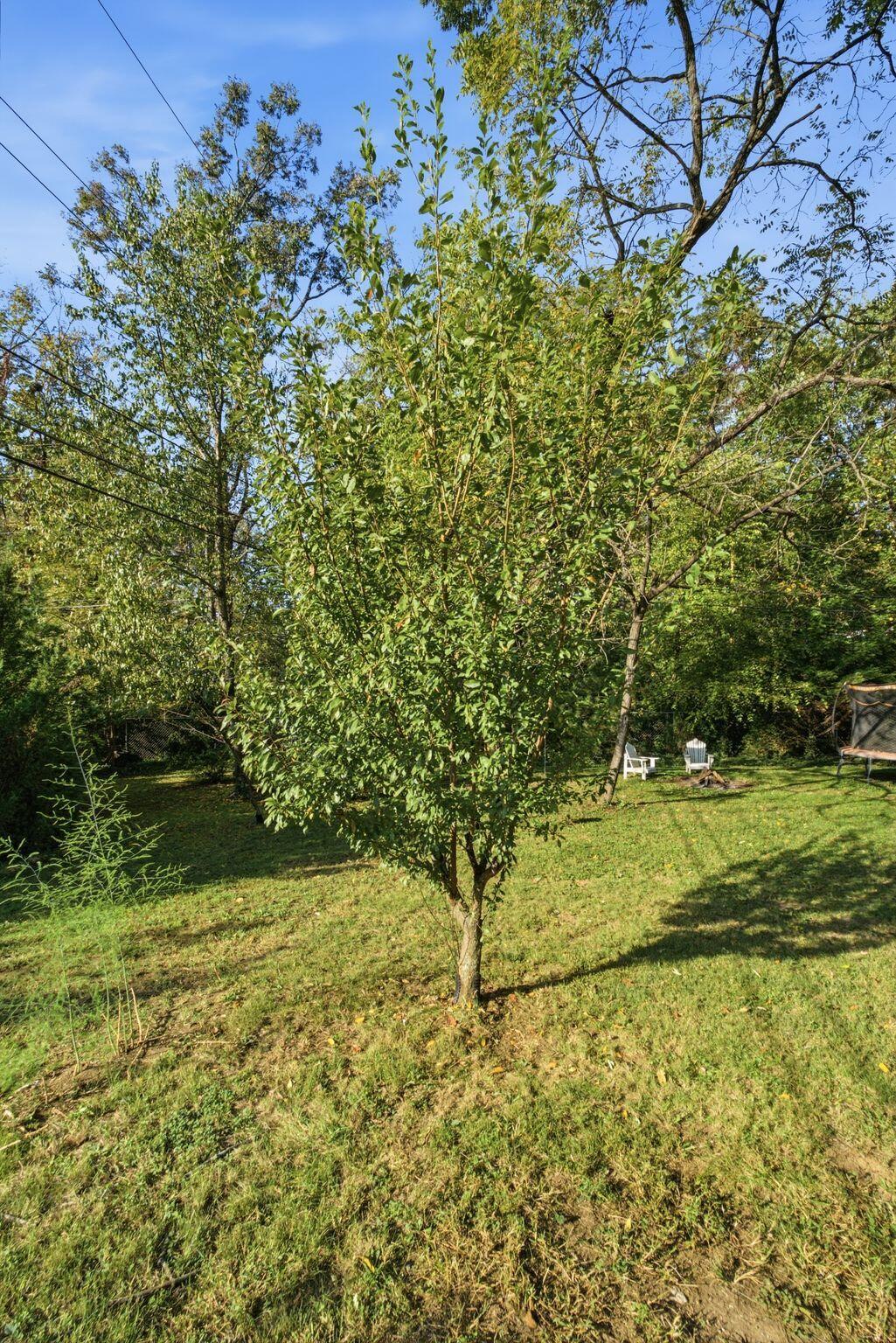 3499 Ormond Circle Property Photo 55