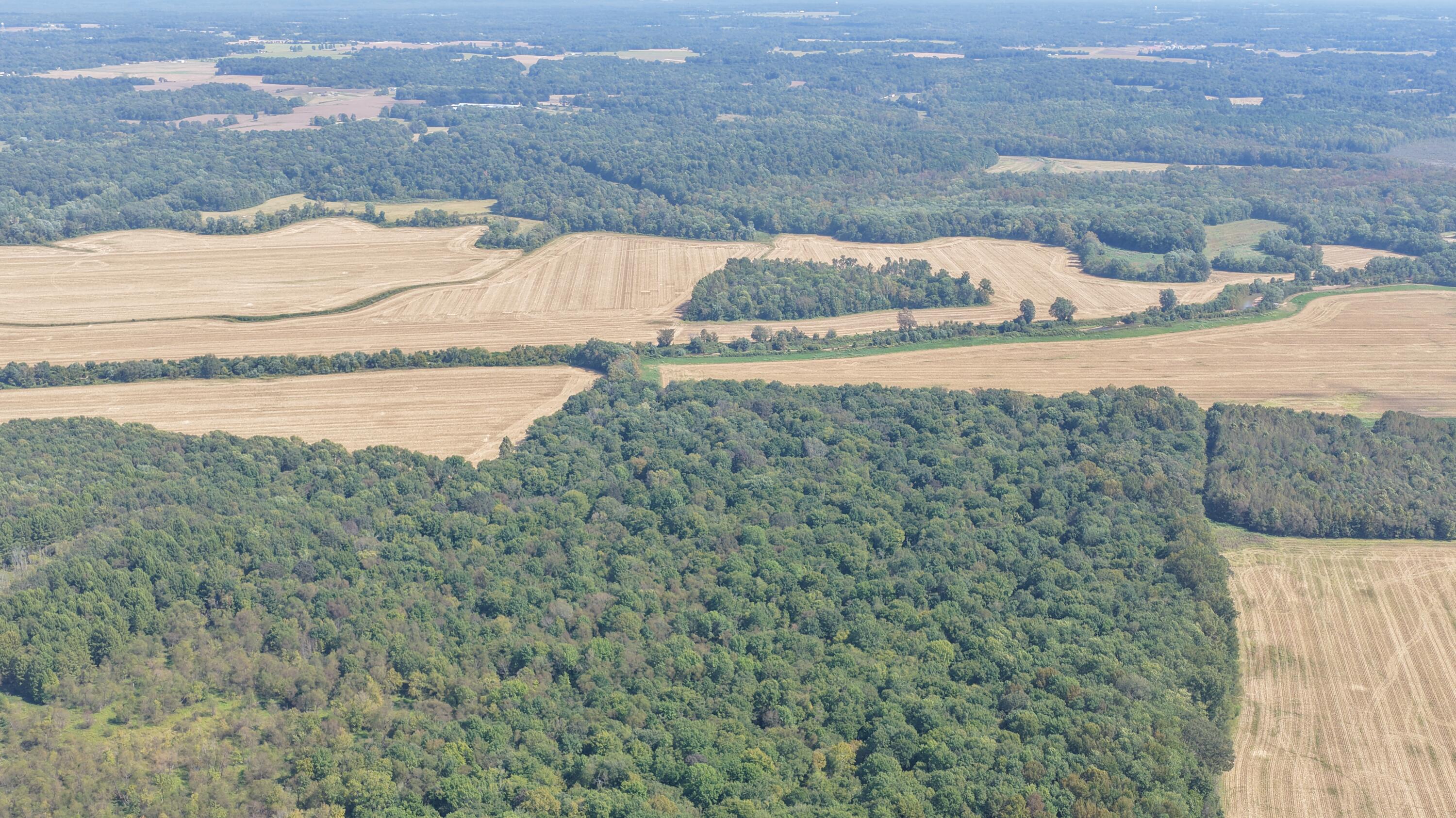 0 State Route 301 Property Photo 3