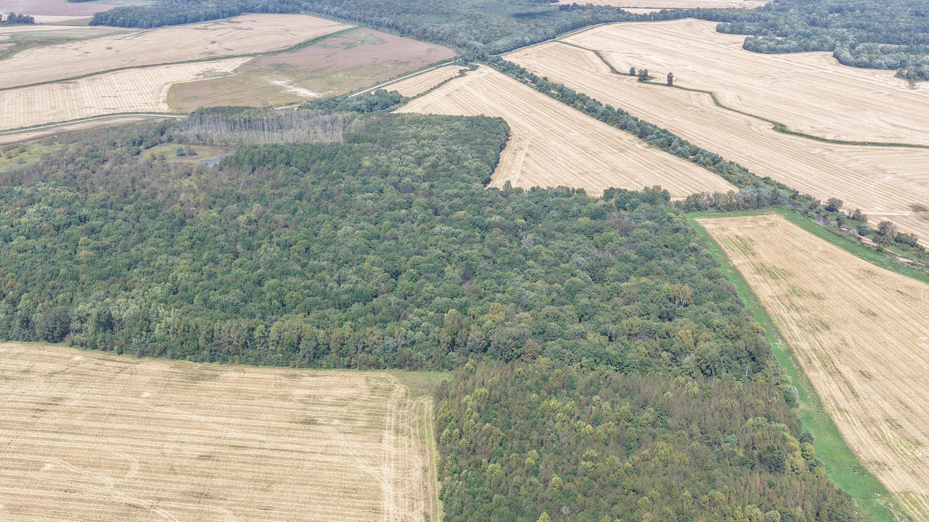 0 State Route 301 Property Photo 4
