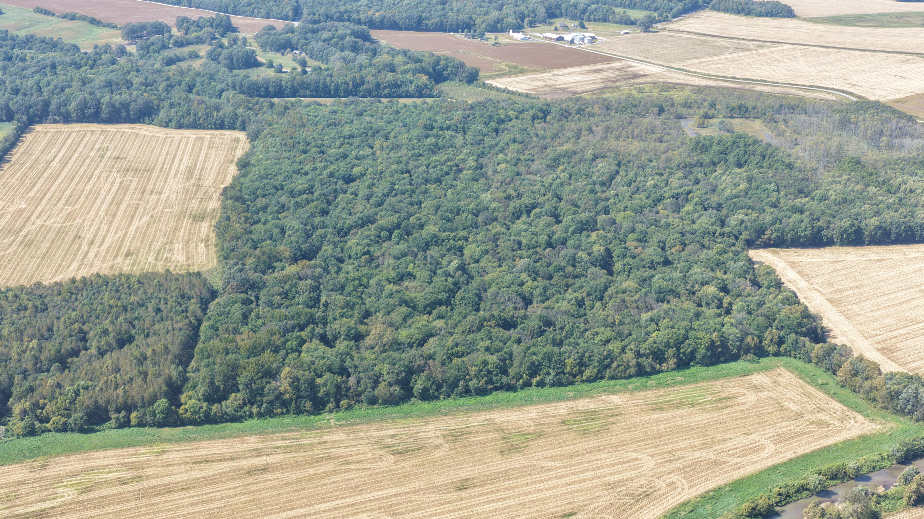 0 State Route 301 Property Photo 5