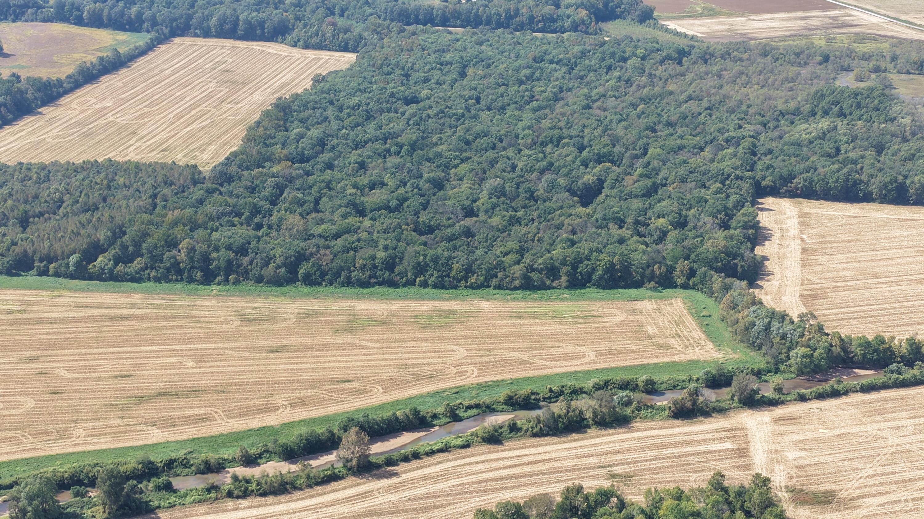 0 State Route 301 Property Photo 6