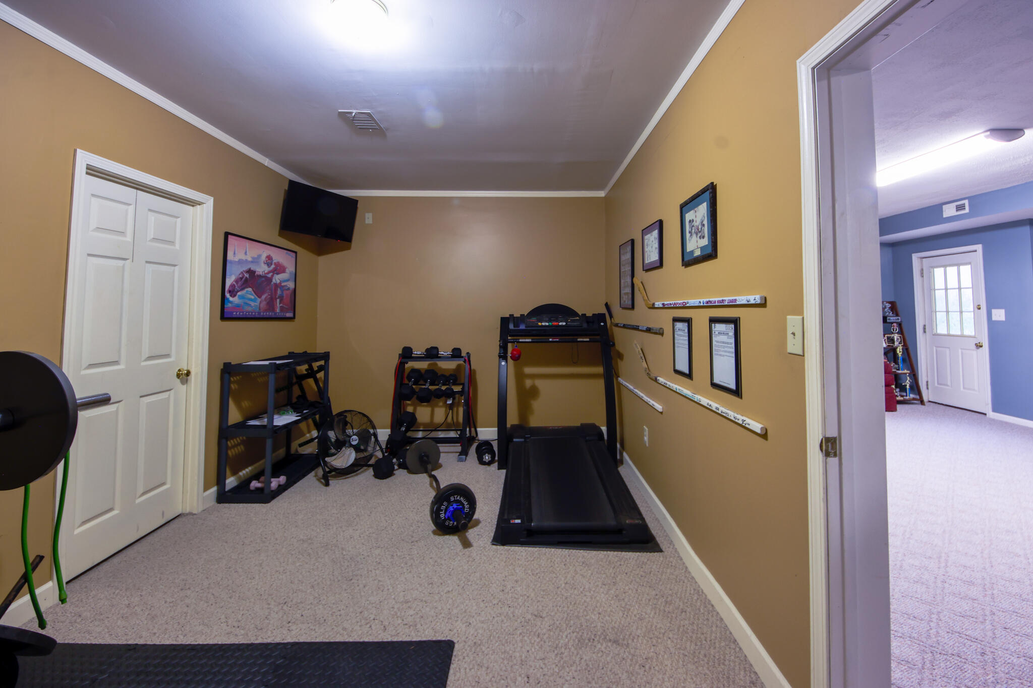 323 Skylark Drive Property Photo 30