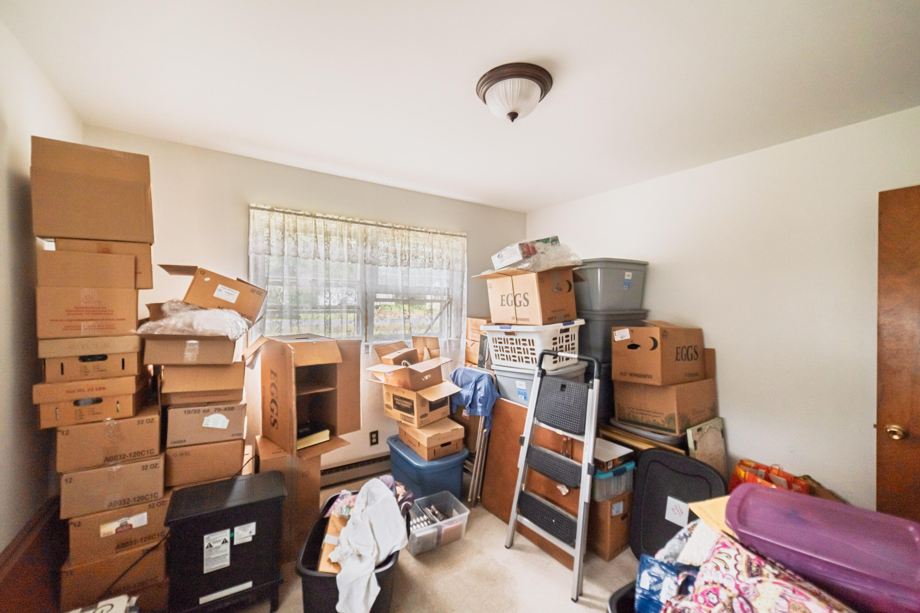 66 Skylark Street Property Photo 41