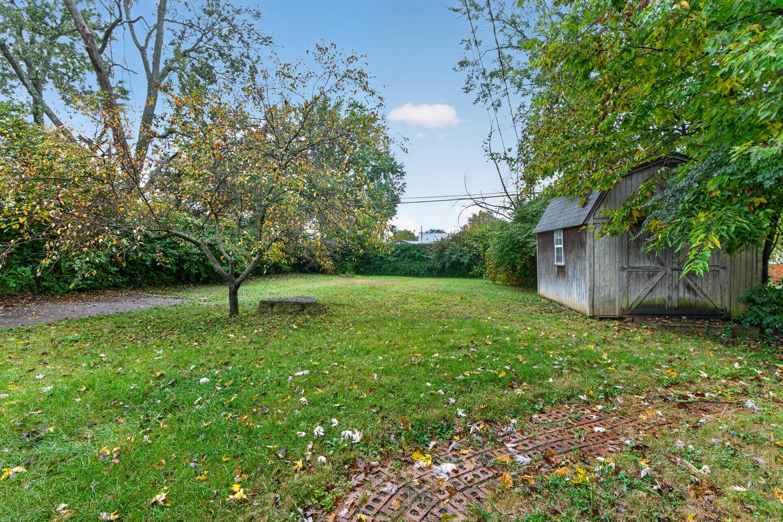 322 Wilson Downing Road Property Photo 19