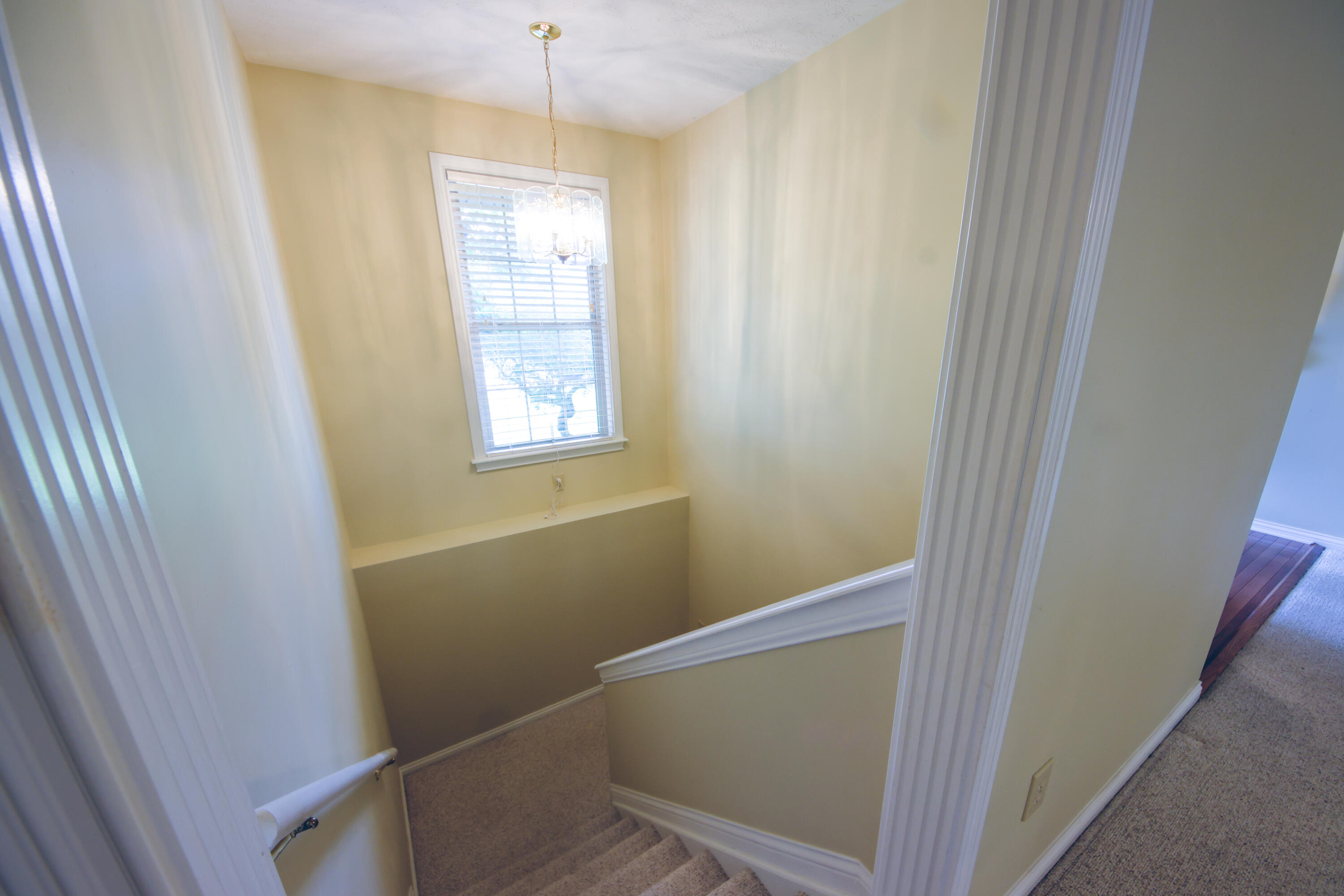285 Rose Drive Property Photo 25