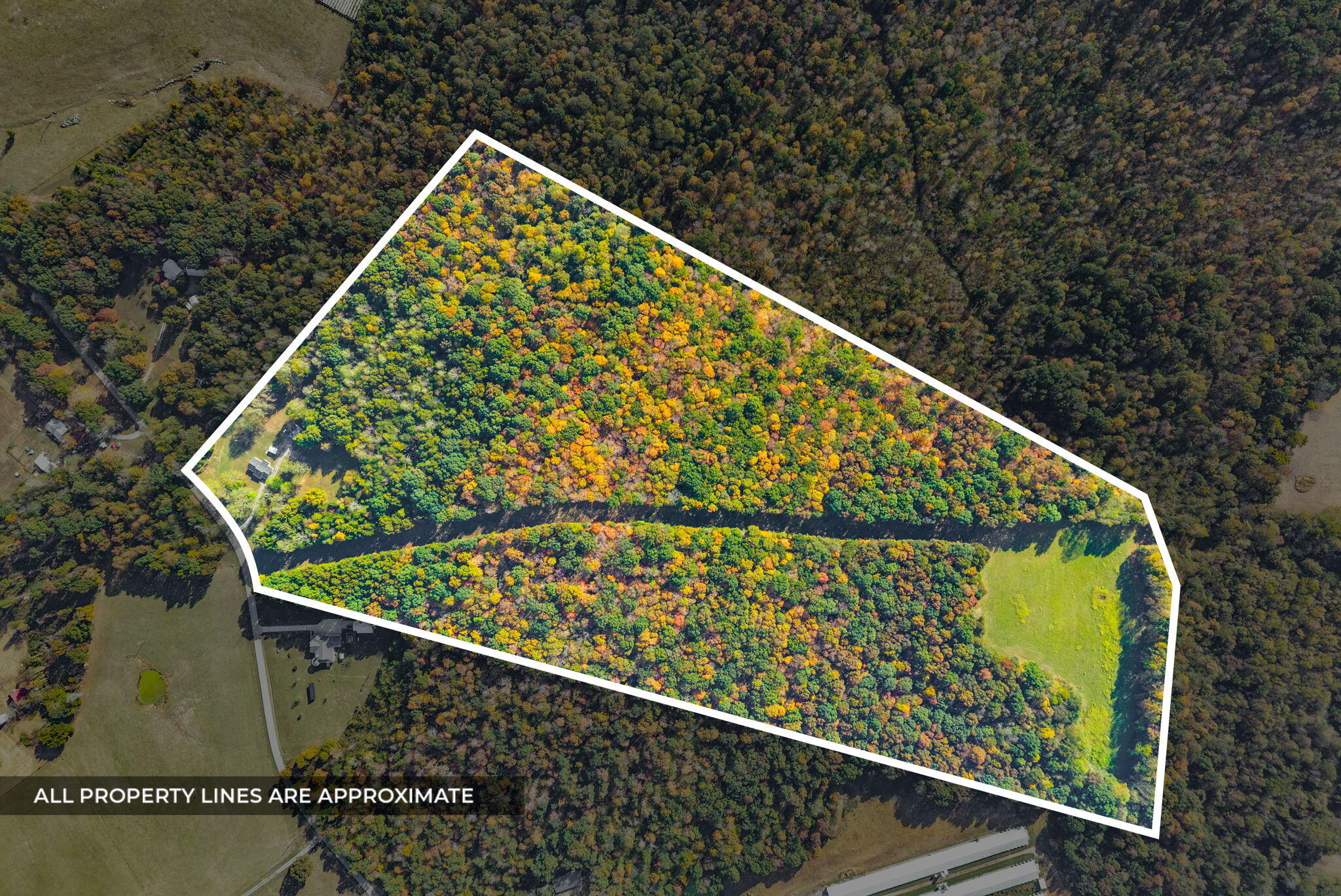16350 Froghop Road Property Photo 4