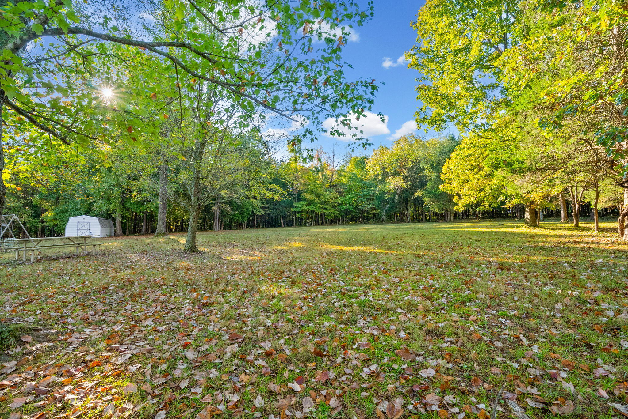 16350 Froghop Road Property Photo 13