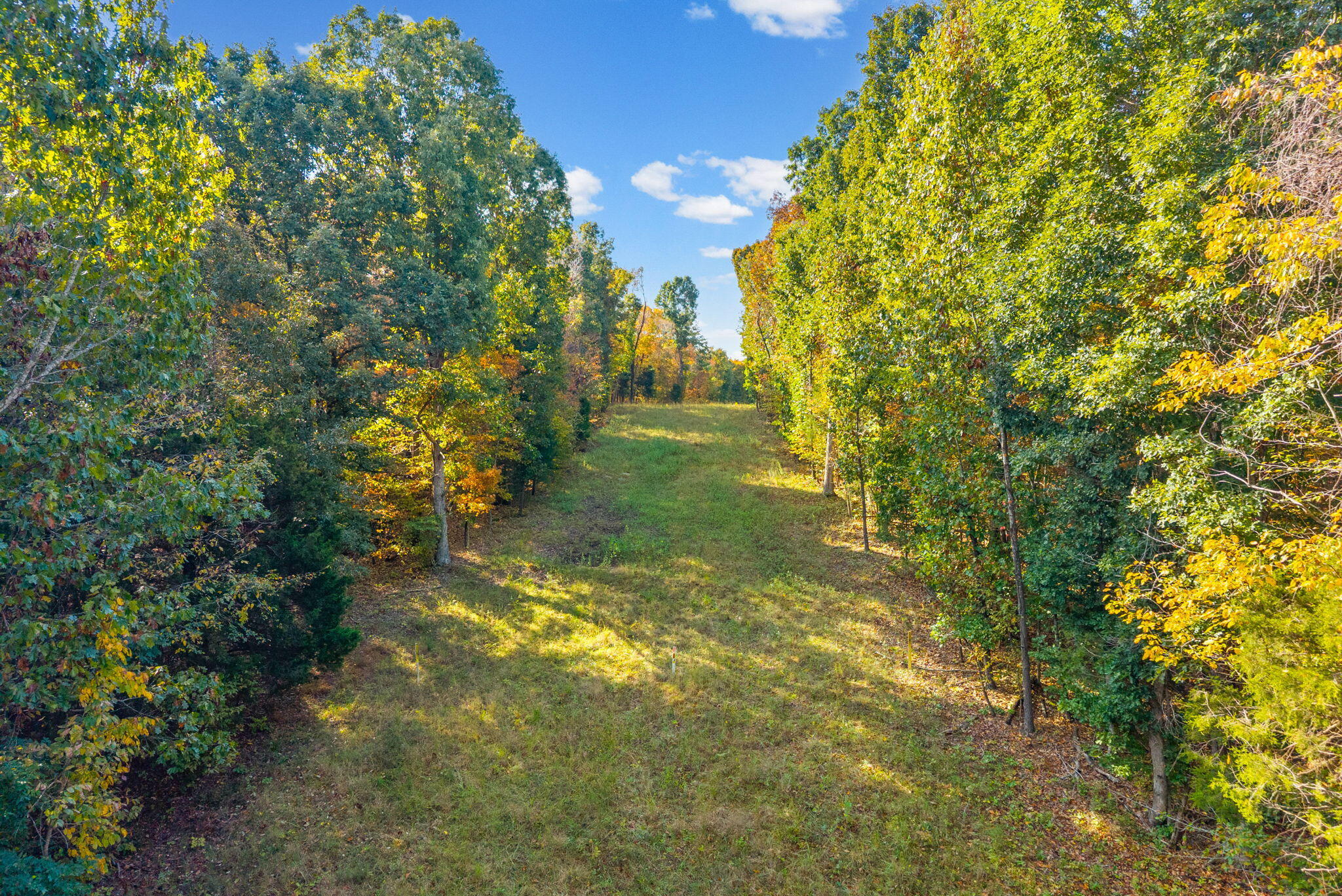 16350 Froghop Road Property Photo 16