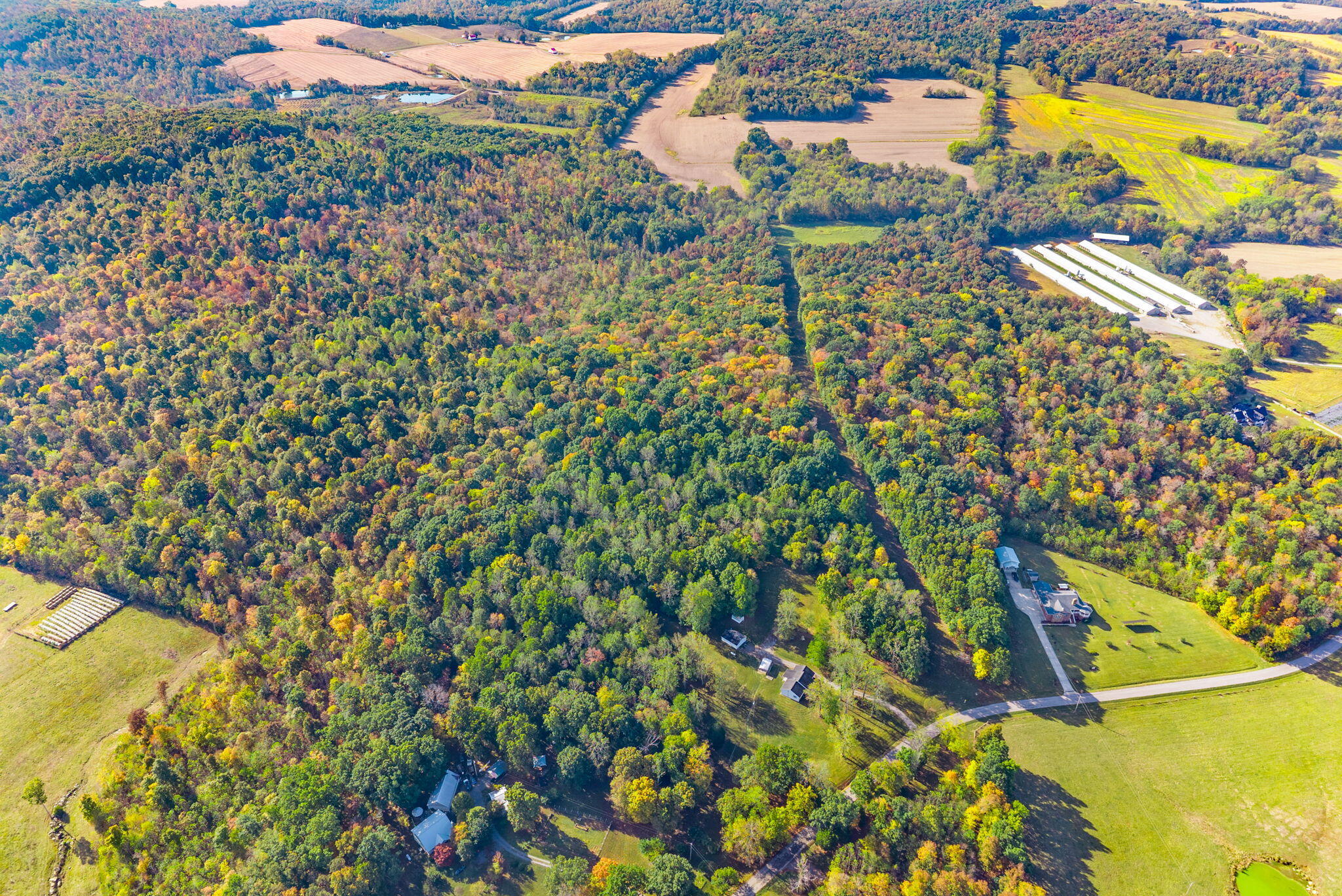 16350 Froghop Road Property Photo 19