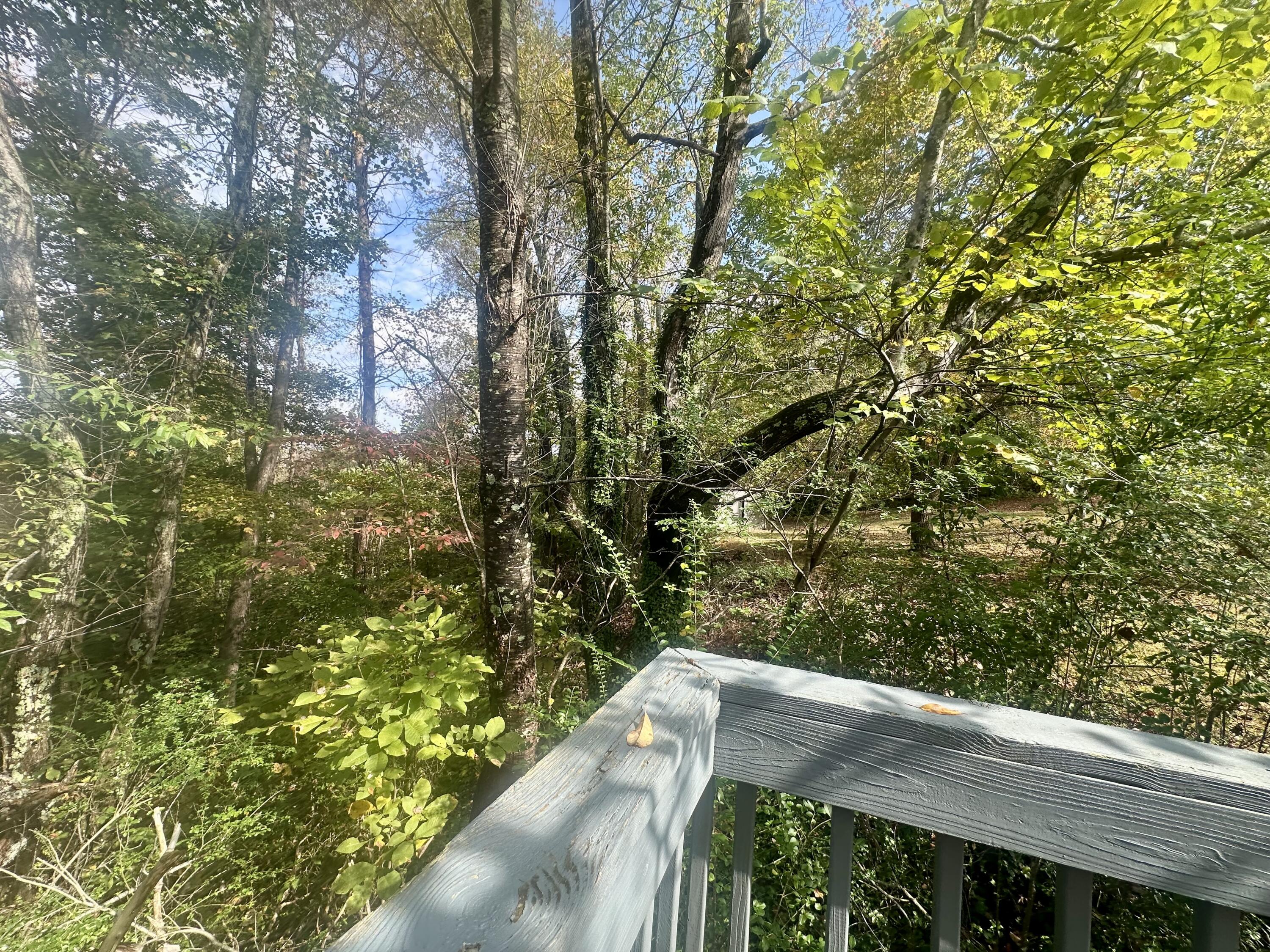 950 Nazareth Hill Road Property Photo 50
