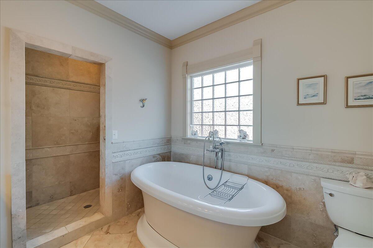 308 Wilkinson Street Property Photo 35