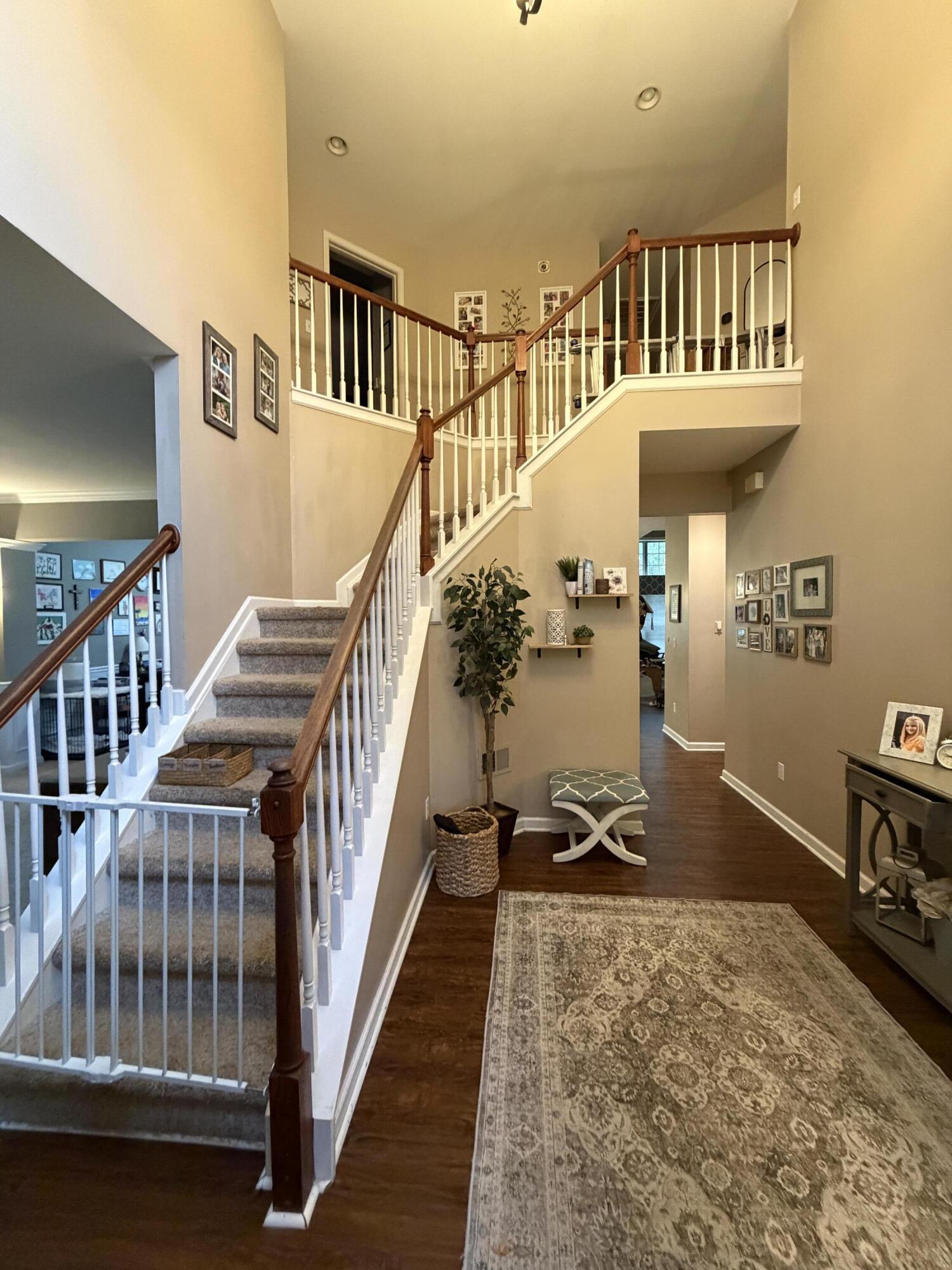 4208 Mattea Court Property Photo 3