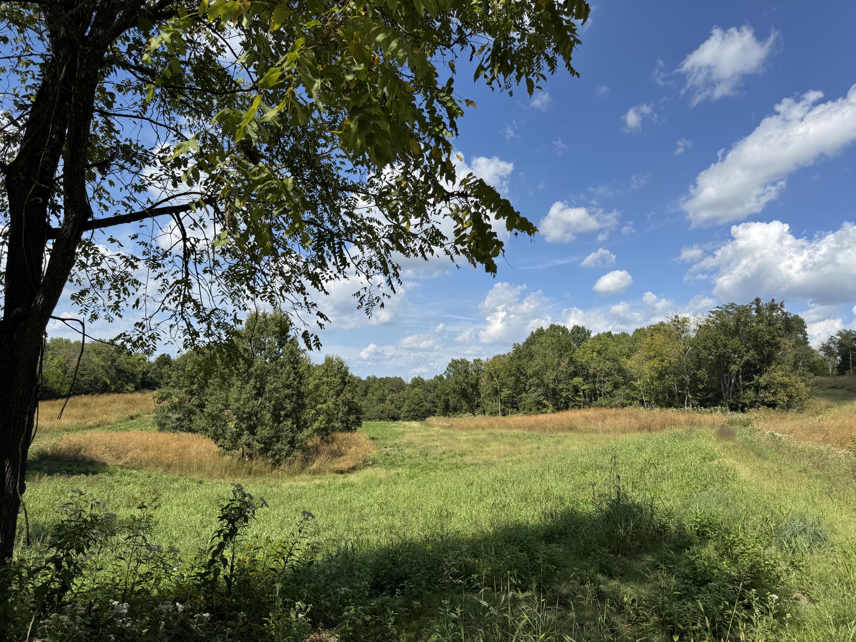 205 Germany Road Property Photo 6