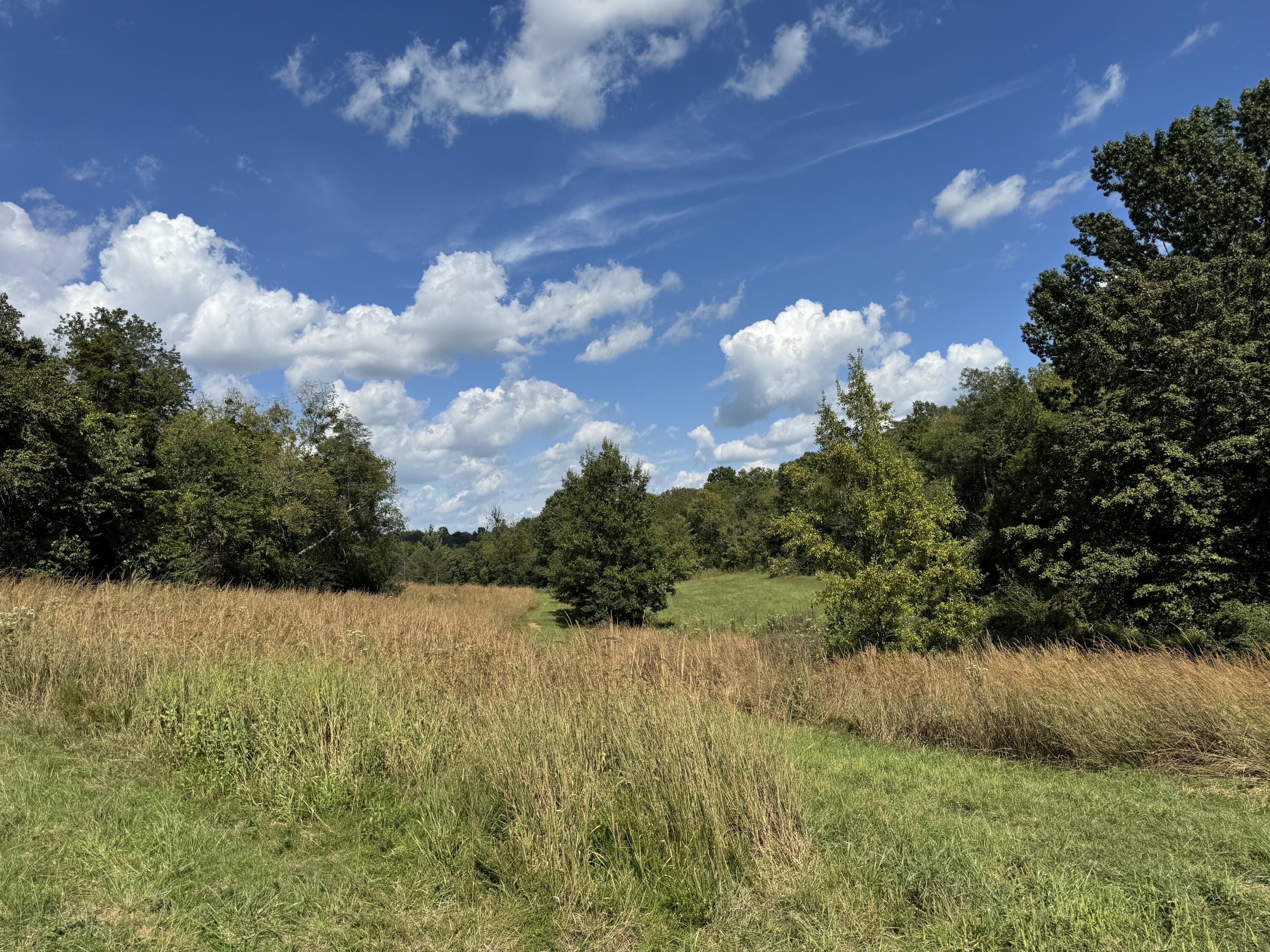 205 Germany Road Property Photo 14
